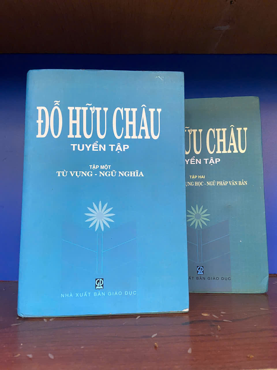 Đỗ Hữu Châu tuyển tập (Bộ 2 tập) Mới 90% (Sách chuyên khảo, khảo cứu) VAVO