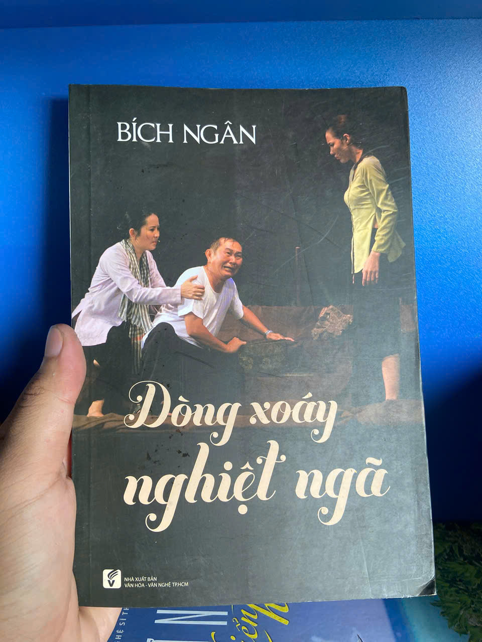 Dòng xoáy nghiệt ngã - Bích Ngân Mới 90% (Sách văn học) VAVO