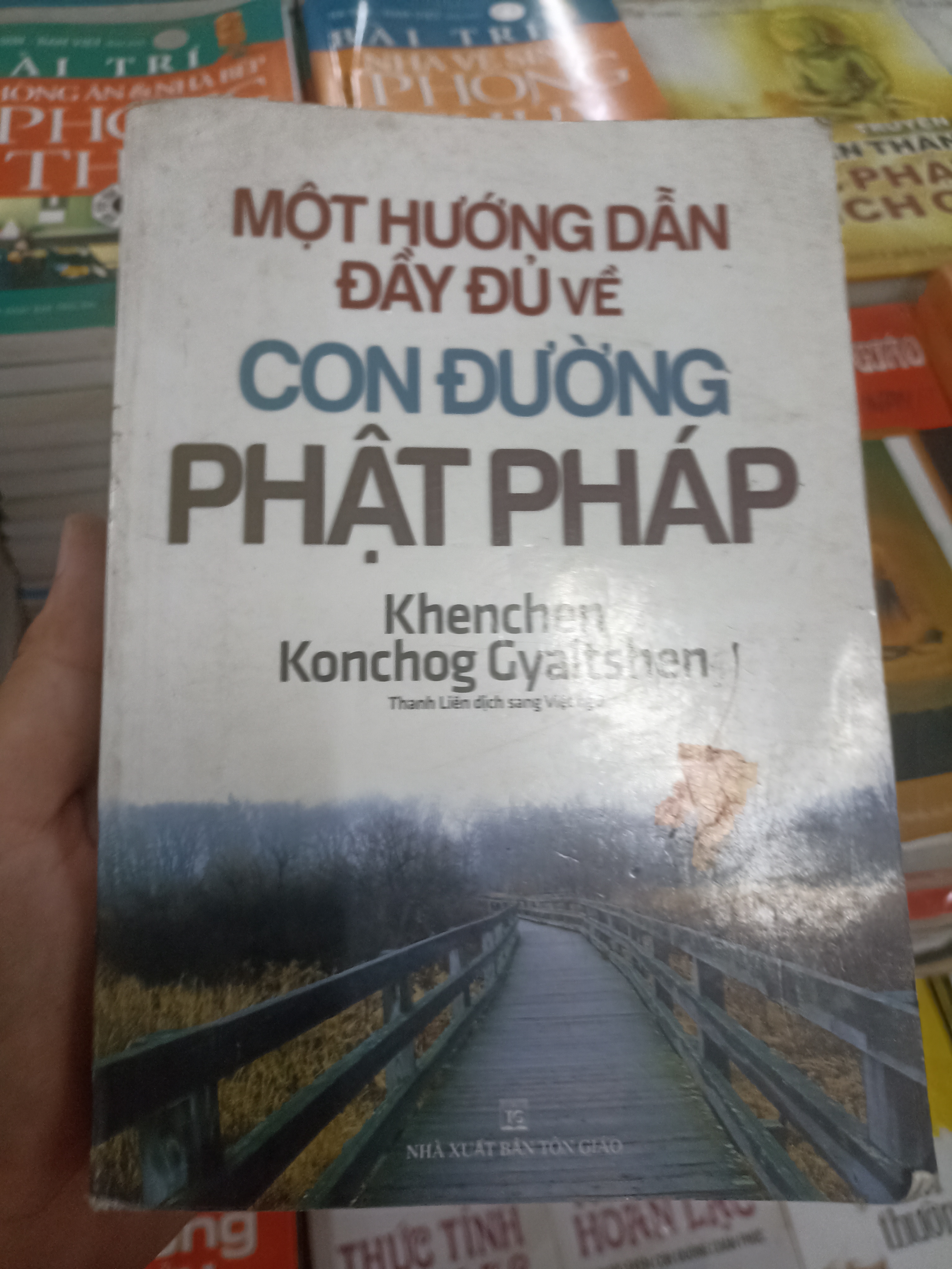 Một hướng dẫn đầy đủ về con đường Phật pháp - Khenchen Konchong Gyaltshen Mới 90% (Sách tôn giáo - tâm linh) VAVO