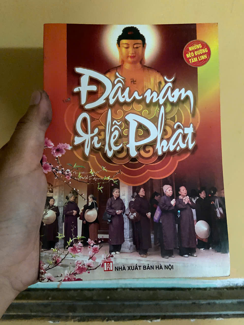 Đầu năm đi lễ Phật Mới 90% (Sách tôn giáo - tâm linh) VAVO