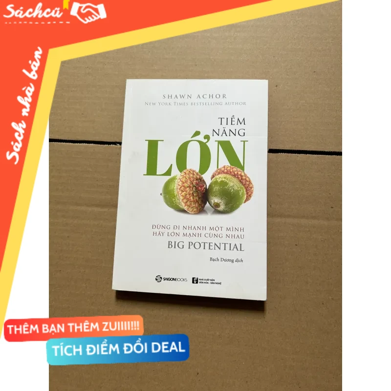 Tiềm năng lớn - Đừng đi nhanh một mình hãy lớn mạnh cùng nhau - Shawn Achor mới 80% (Sách kỹ năng) DTML