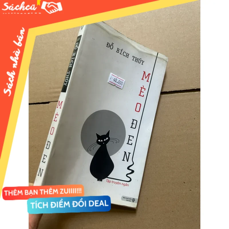 Mèo đen - Đỗ Bích Thúy 2011 mới 80% (Sách kỹ năng) DTML