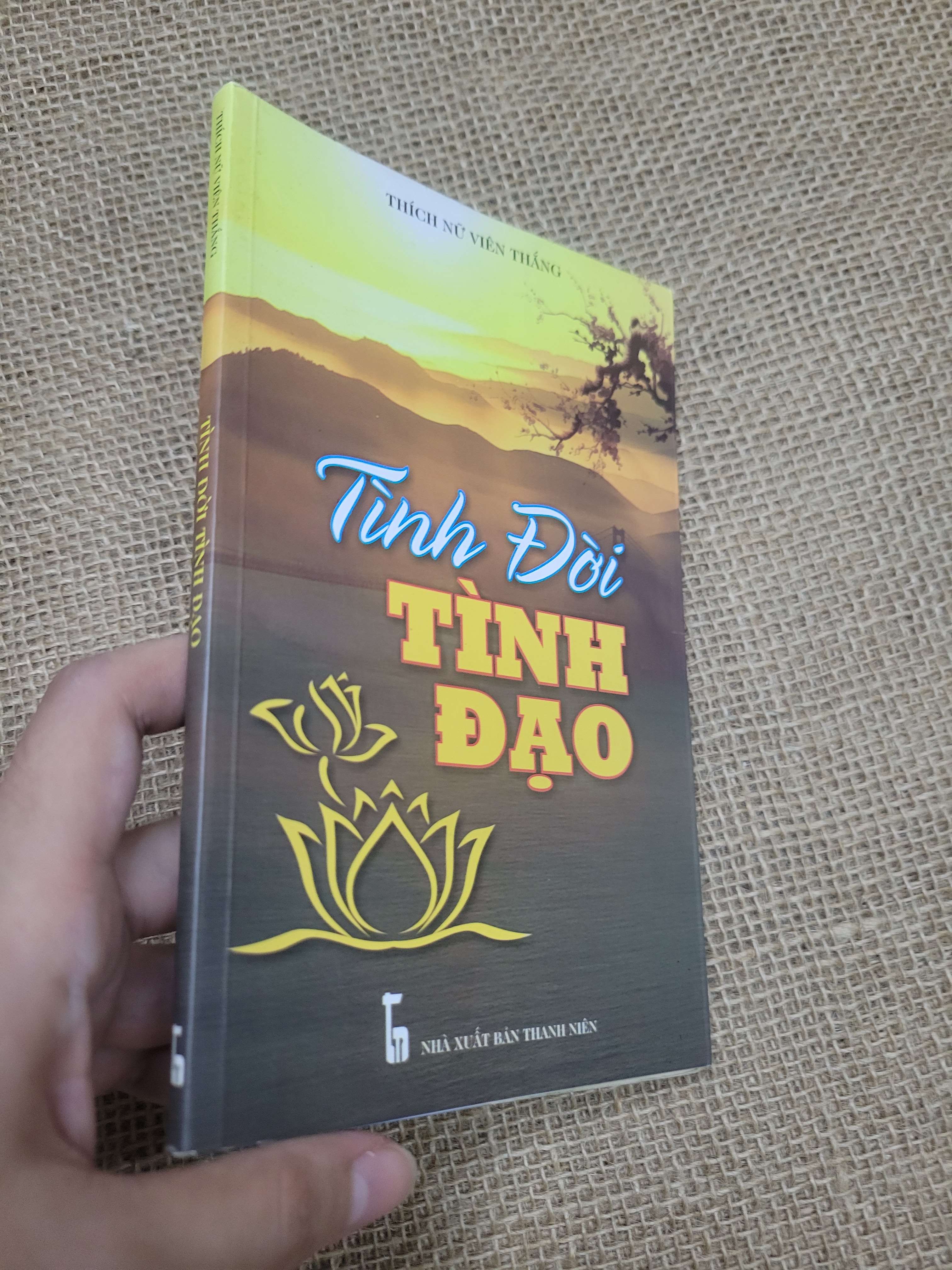Tình đời tình đạo - Thích Nữ Viên Thắng 2014 mới 80% bẩn bìa, ố (Sách tôn giáo - tâm linh) SPP