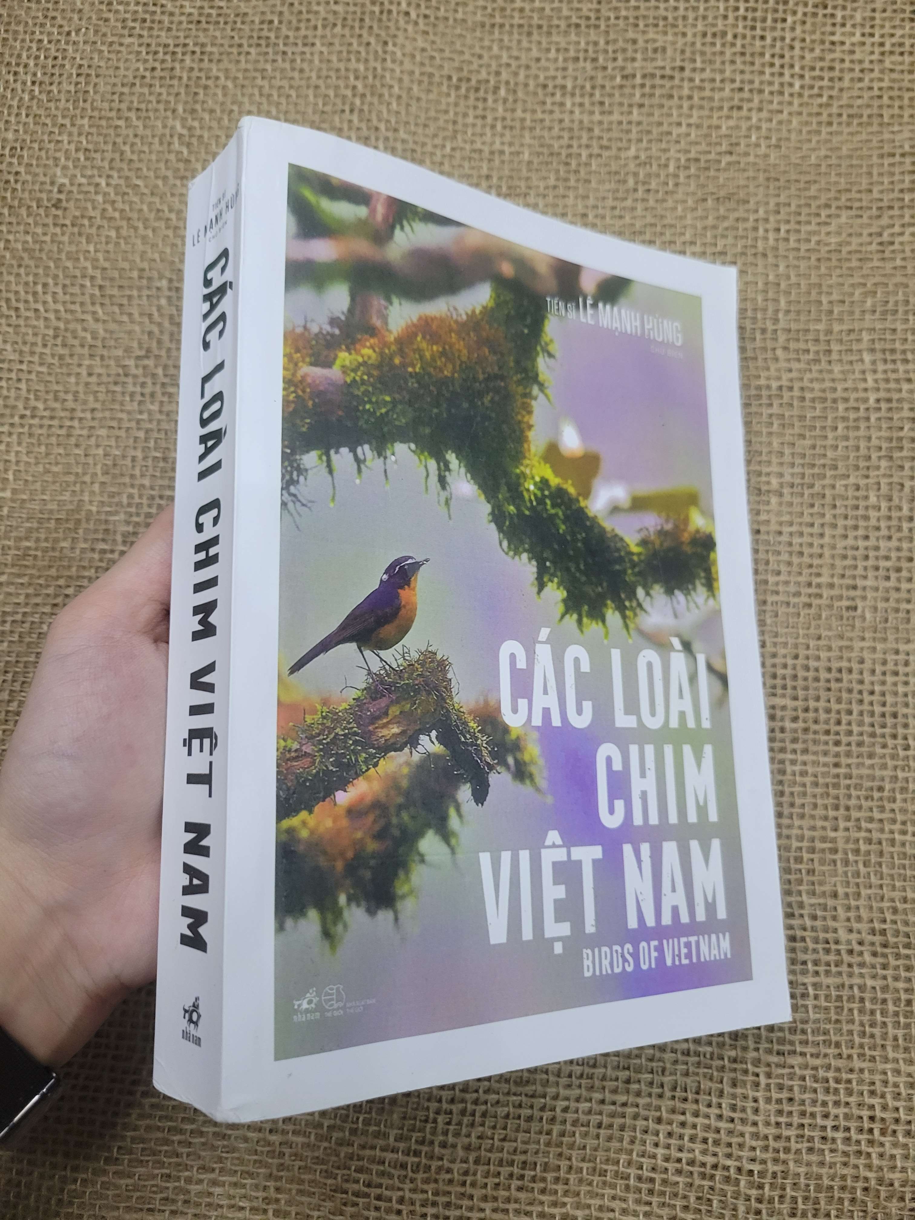 Các loài chim Việt Nam - Lê Mạnh Hùng 2021 mới 90% bẩn nhẹ (Sách kiến thức tổng hợp) SPP