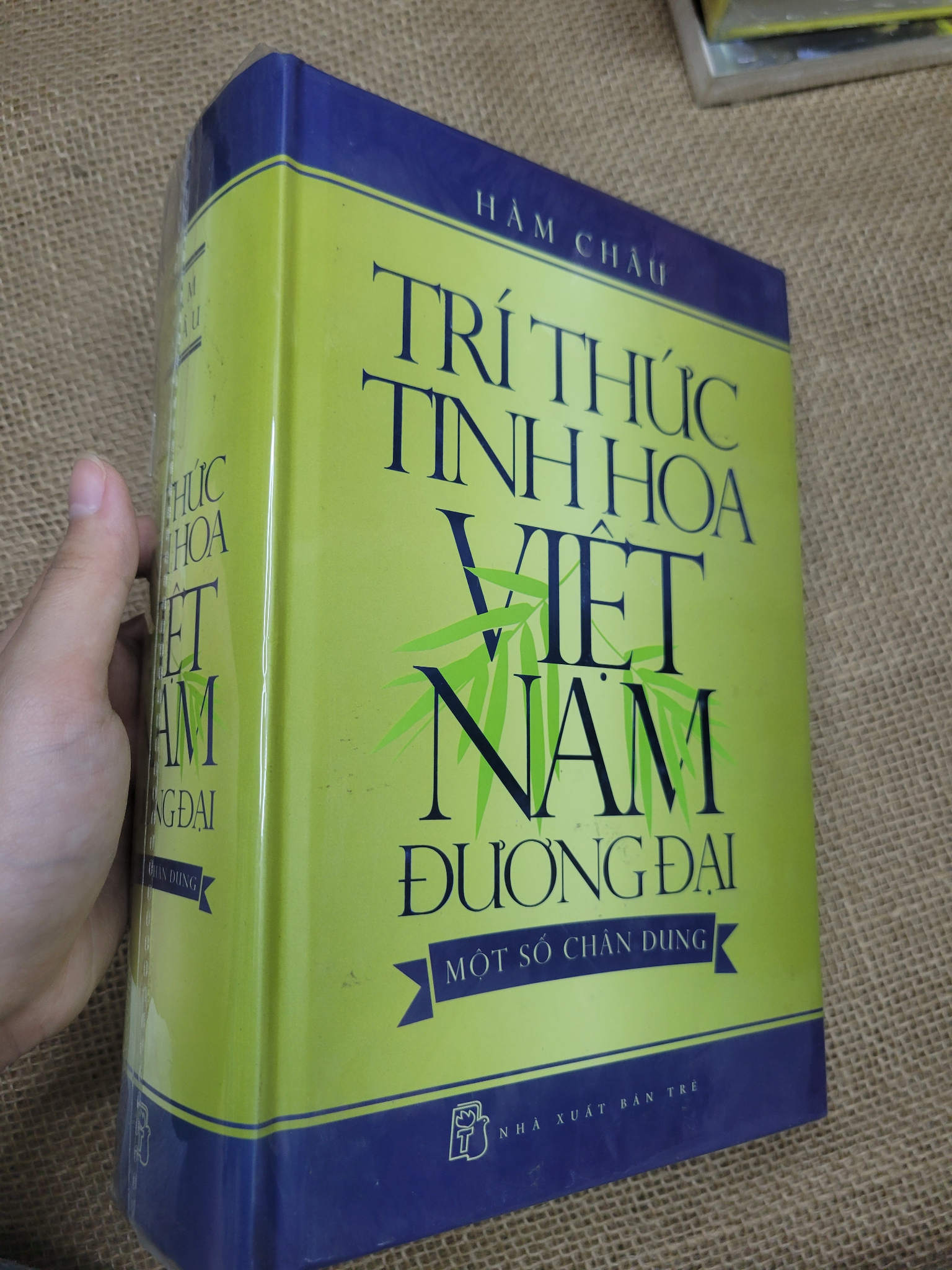 Trí thức tinh hoa Việt Nam đương đại một số chân dung - Hàm Châu bìa cứng mới 80% bẩn bìa, ố (Lịch sử Việt Nam) SPP