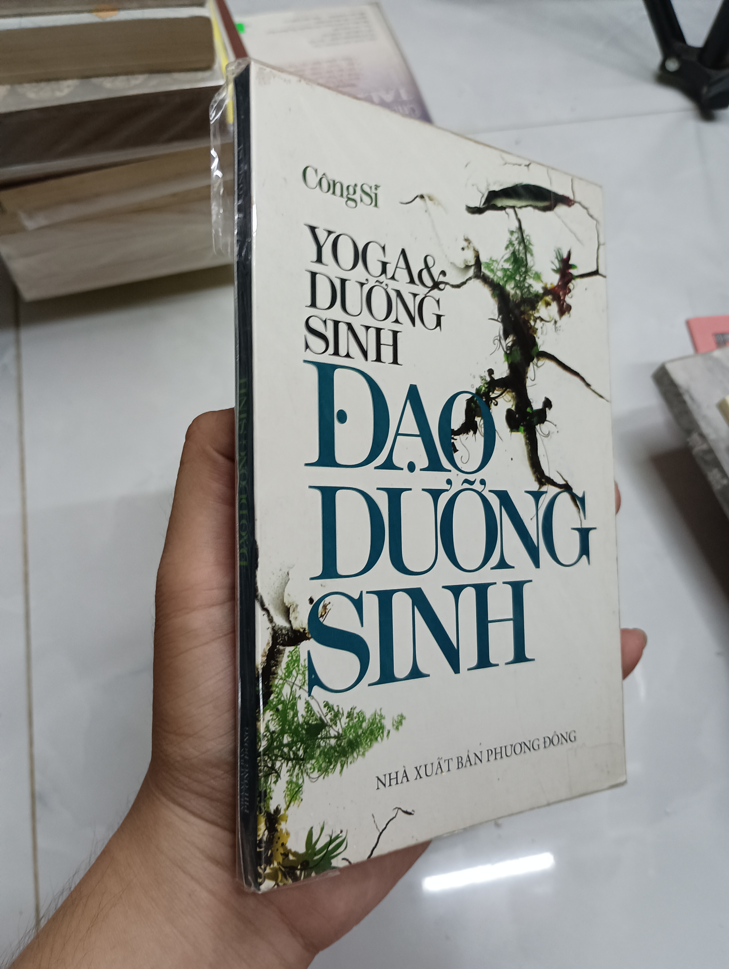Yoga & Dưỡng Sinh - Đạo Dưỡng Sinh (Công Sĩ) (Sách Y học - Sức khỏe - Thể thao) SPP