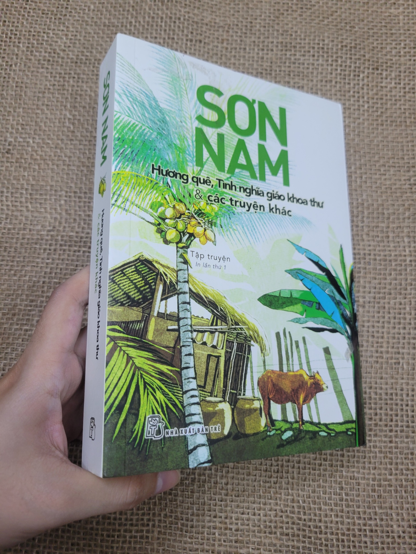 Hương quê, tình nghĩa giáo khoa thư & các truyện khác - Sơn Nam 2018 mới 80% bẩn bìa, ố (Sách văn học) SPP