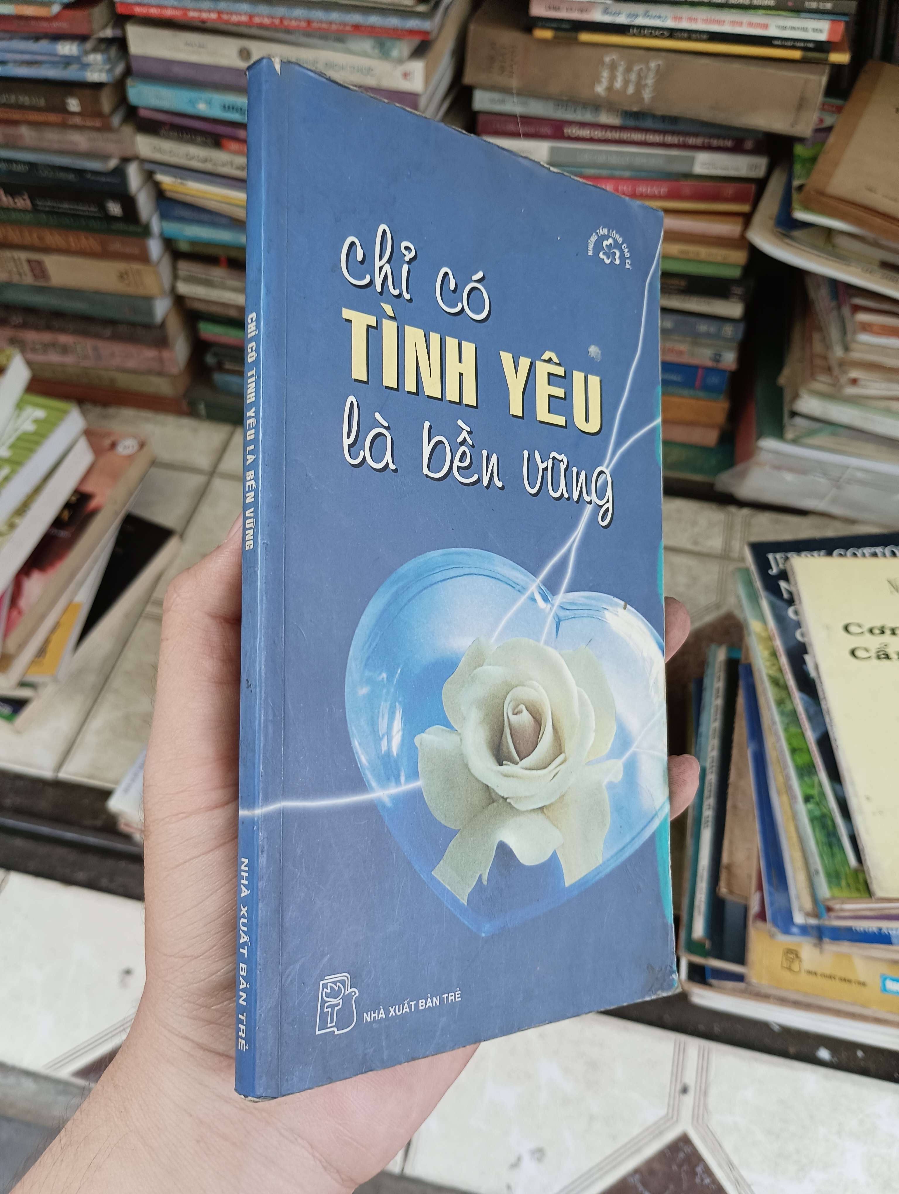 Chỉ có tình yêu là bền vững 2004 (Tiểu Thuyết) BGB