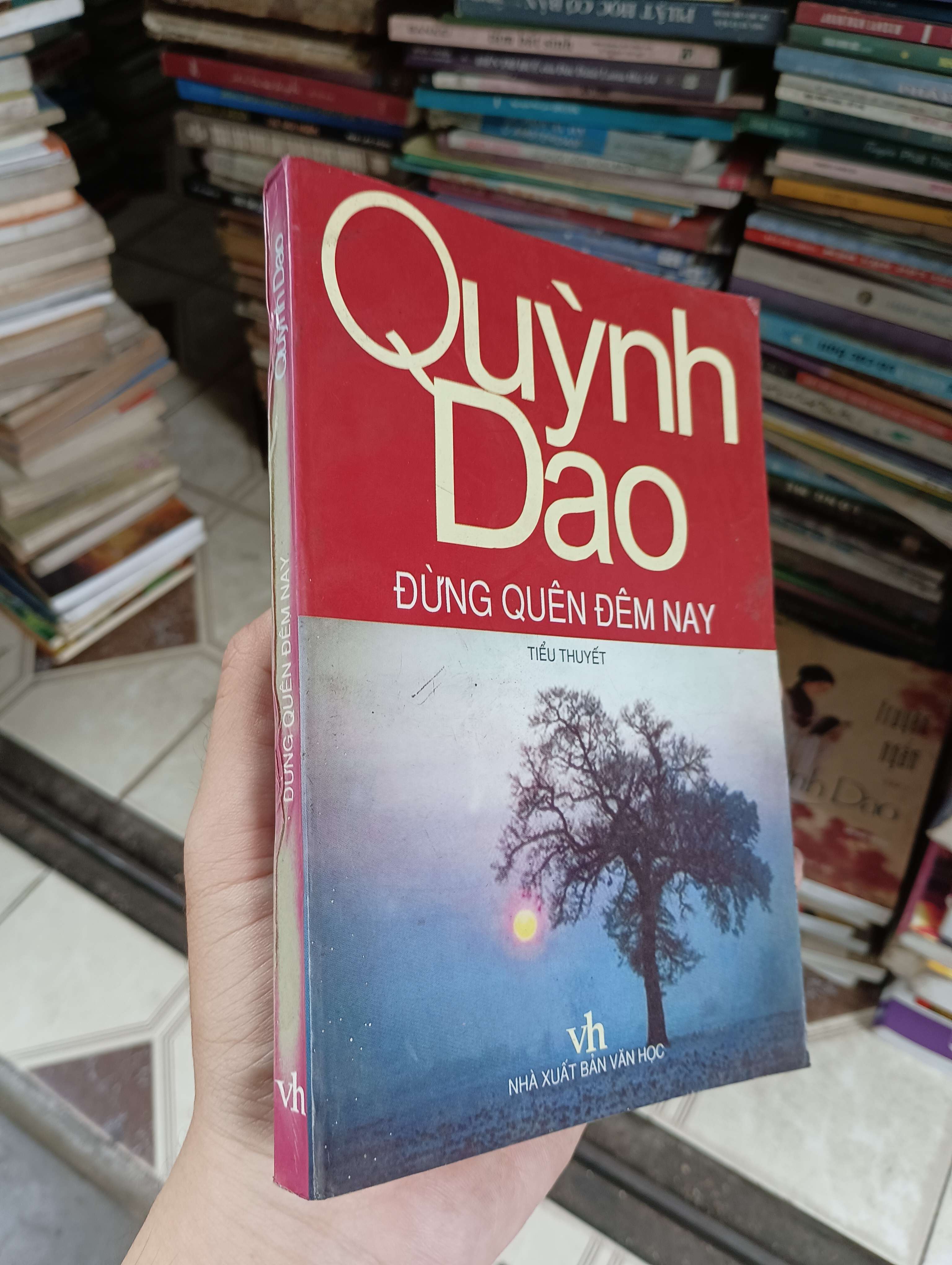 ĐỪNG QUÊN ĐÊM NAY - Quỳnh Dao 2001 (Sách văn học) BGB