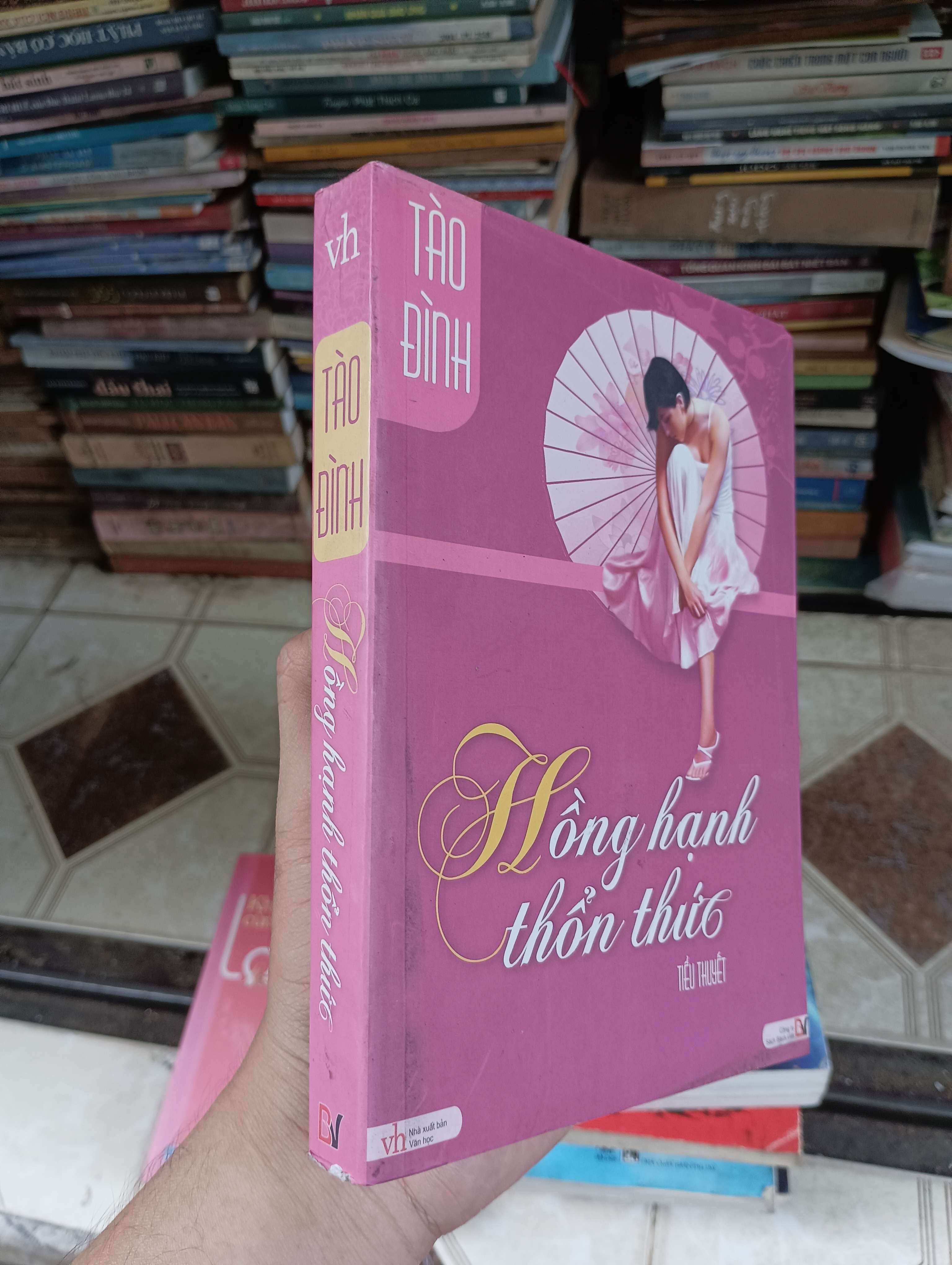 Hồng hạnh thổn thực - Tào Đình 2011 (Tiểu Thuyết) BGB