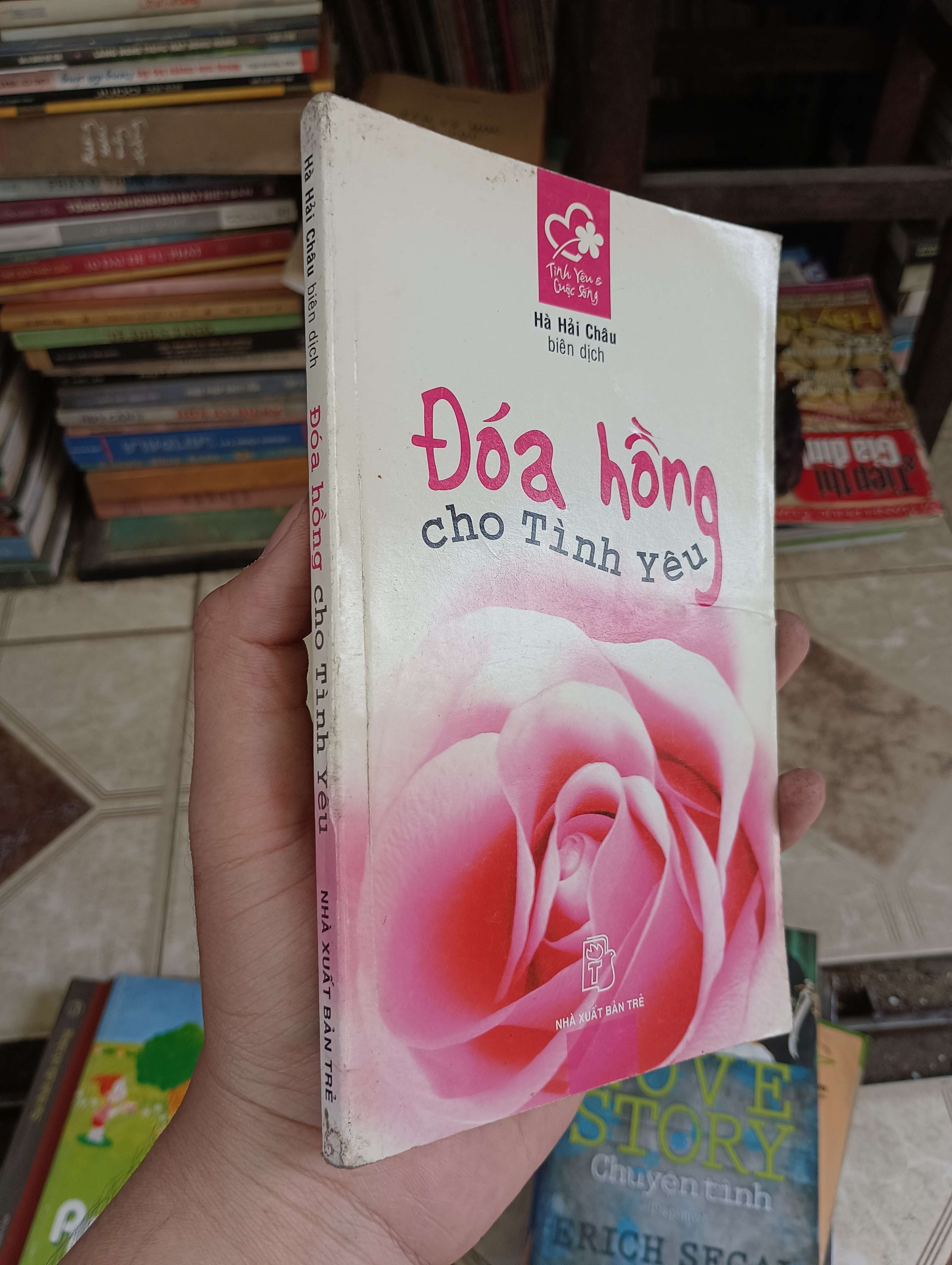 Đóa hồng cho tình yêu - Hà Hải Châu 2005 (Tiểu Thuyết) BGB