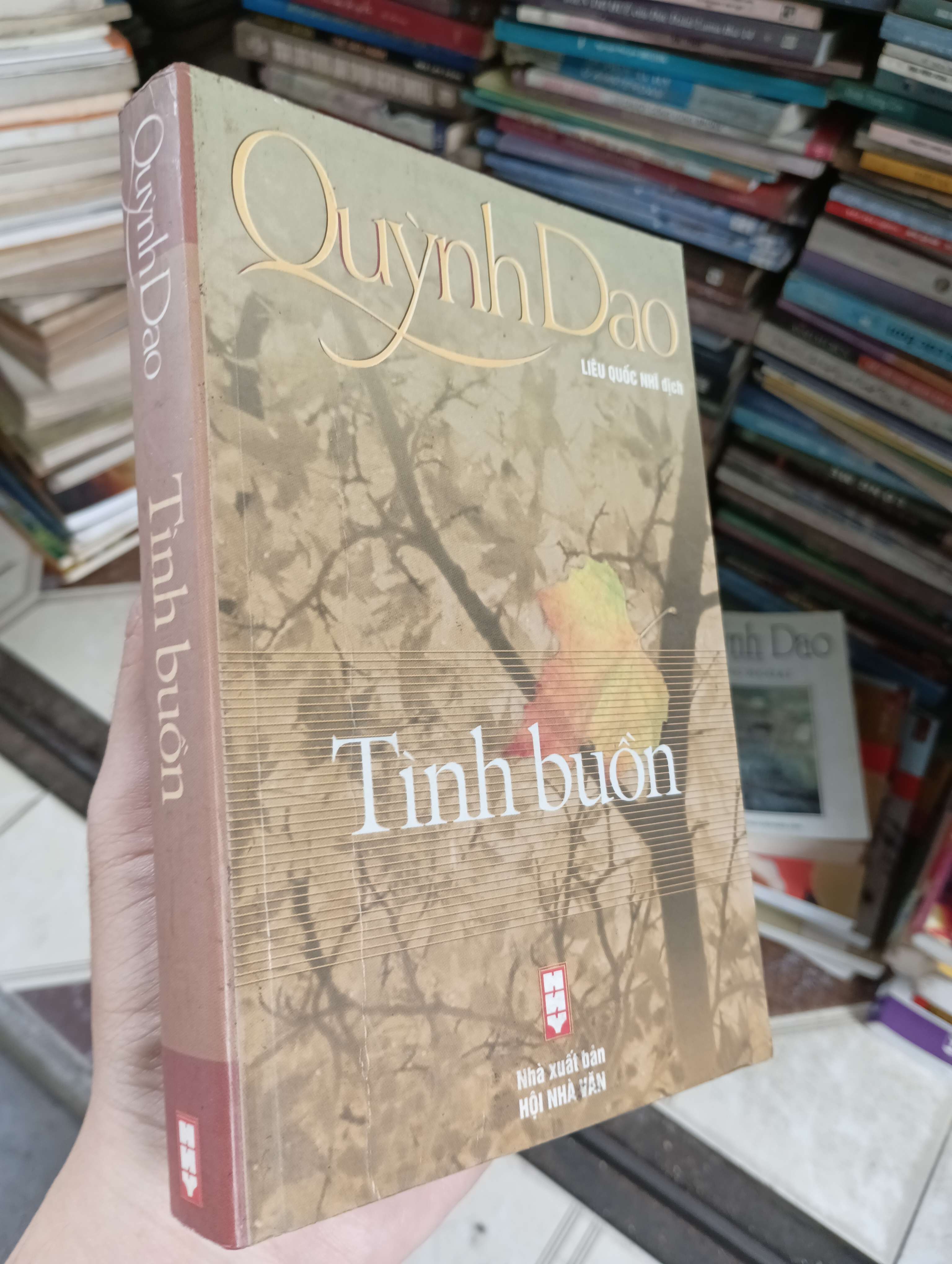 Tình buồn - Quỳnh Dao 2003 (Sách văn học) BGB