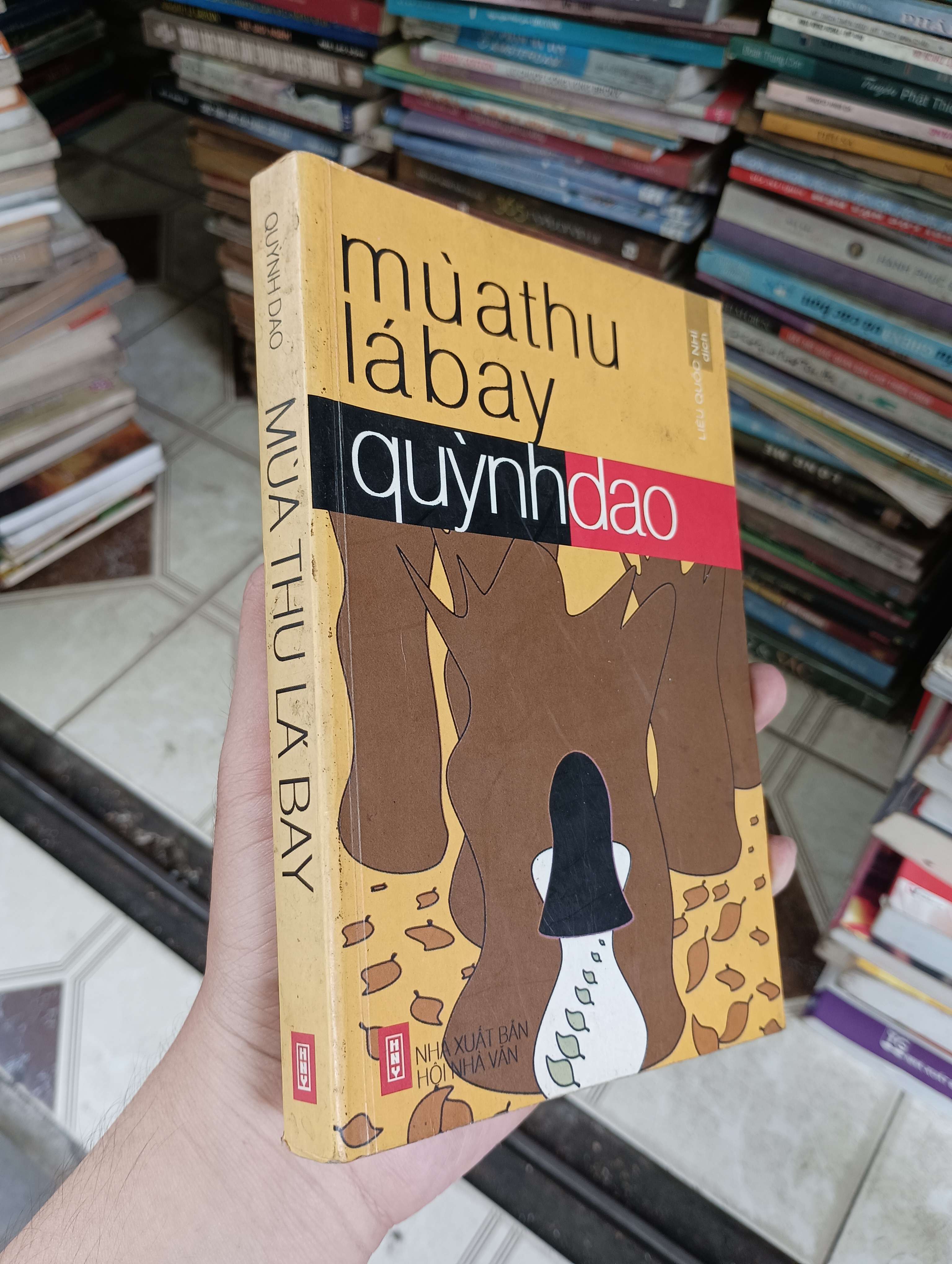 MÙA THU LÁ BAY - QUỲNH DAO 2003 (Sách văn học) BGB
