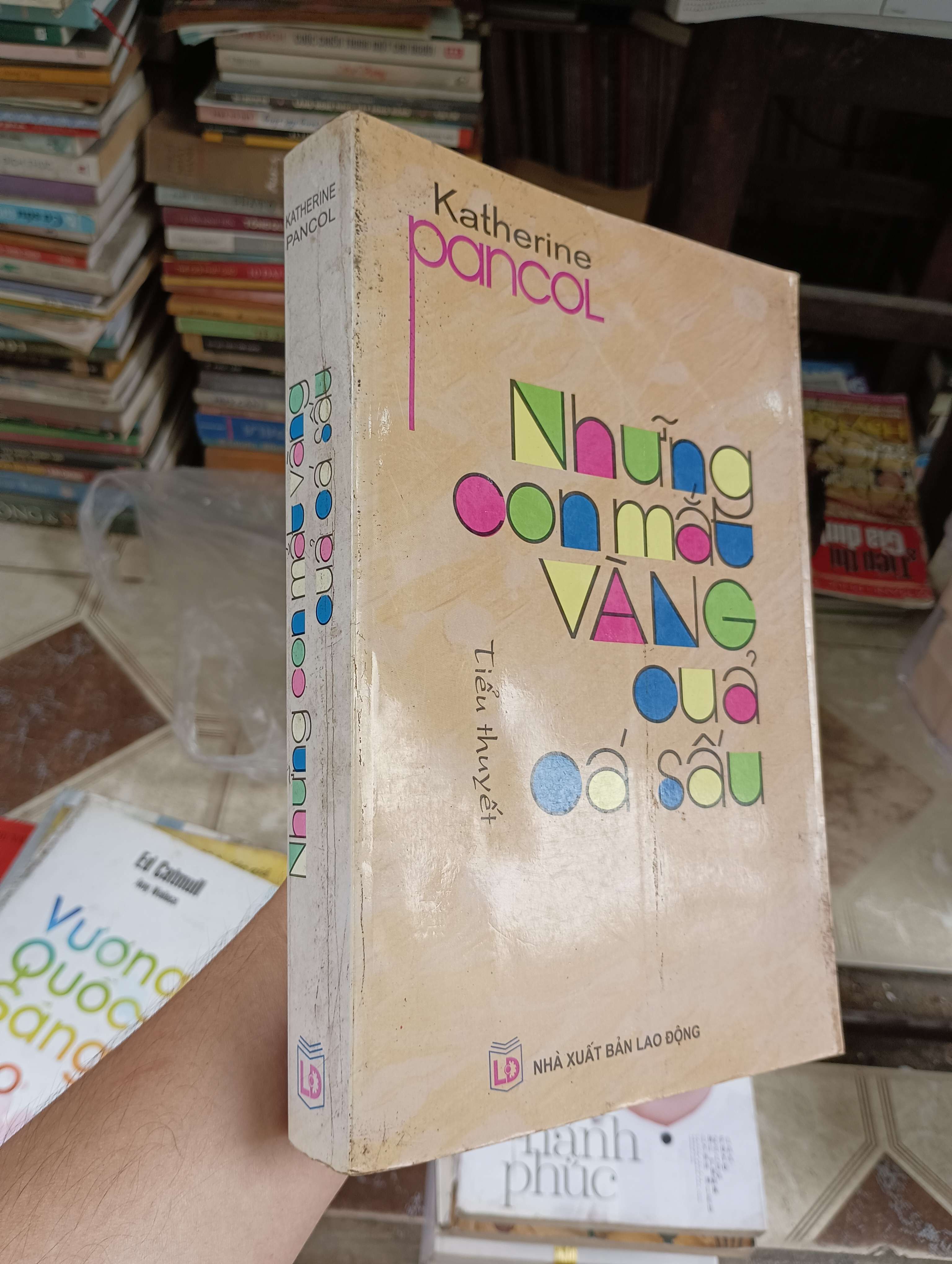 Những Con Mắt Vàng, Quả Cá Sấu - Katherine Pancol 2008 (Tiểu Thuyết) BGB