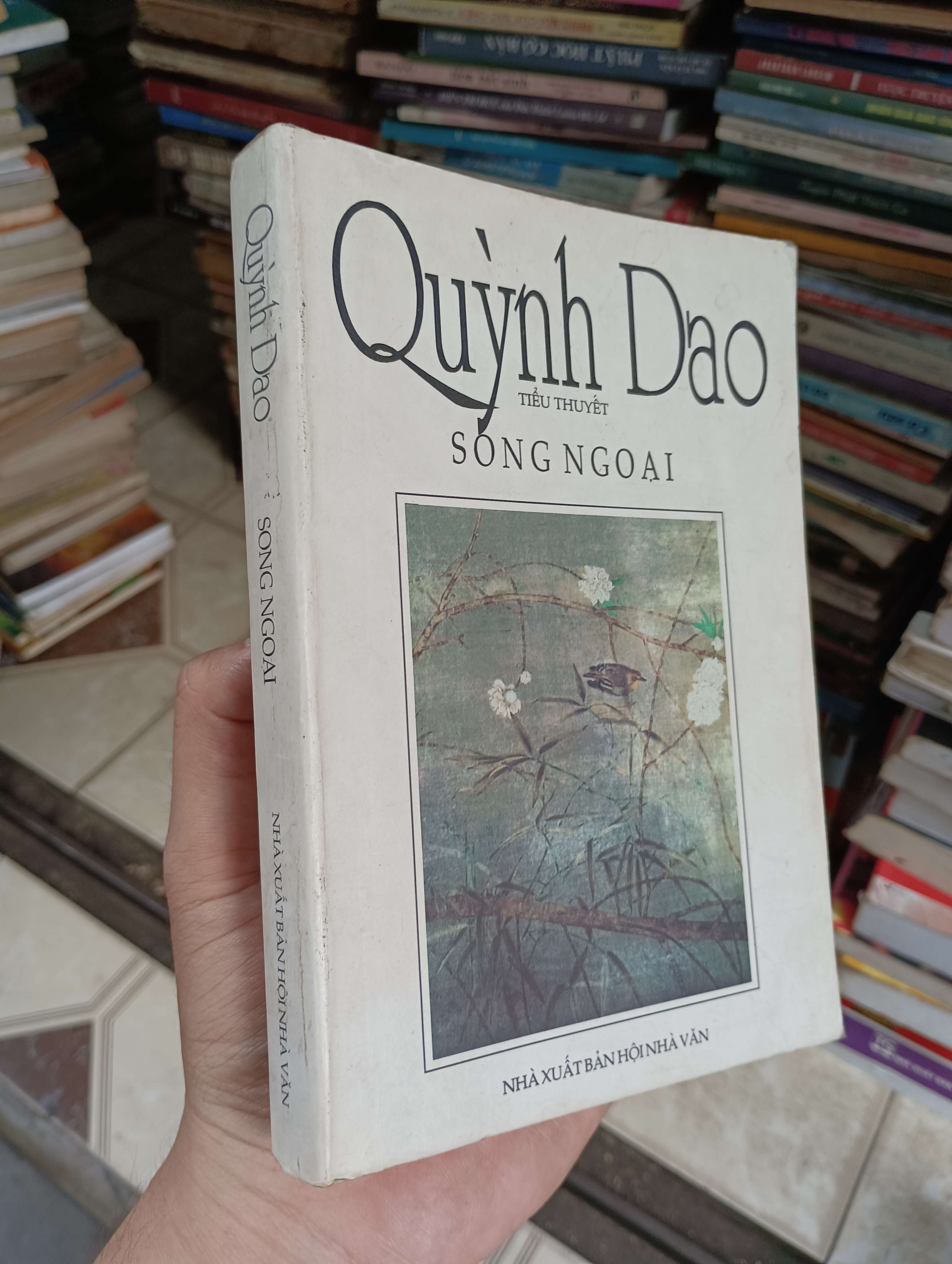SÓNG NGOẠI - Quỳnh Dao 2000 (Sách văn học) BGB