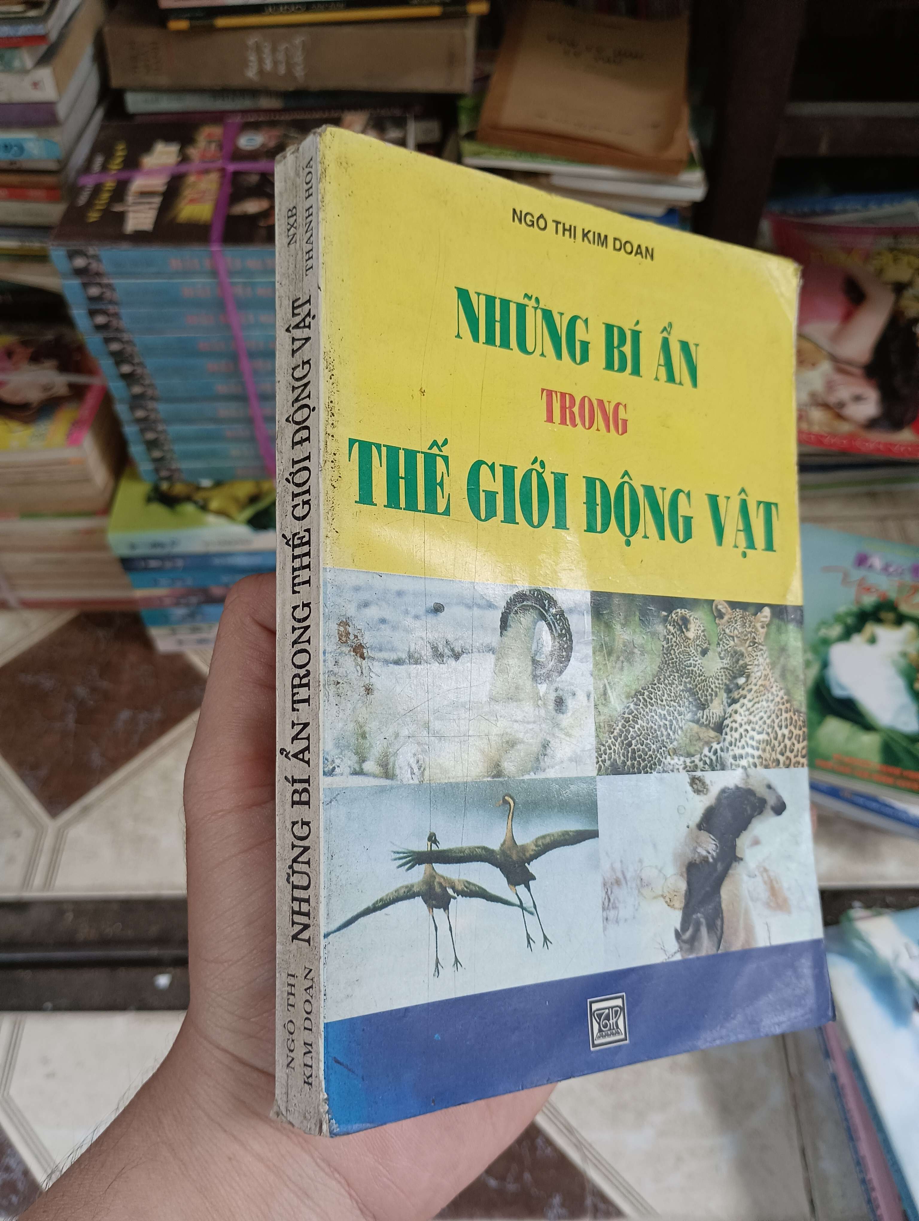 NHỮNG BÍ ẨN TRONG THẾ GIỚI ĐỘNG VẬT - NGÔ THỊ KIM DOAN 2003 (Sách kiến thức tổng hợp) BGB