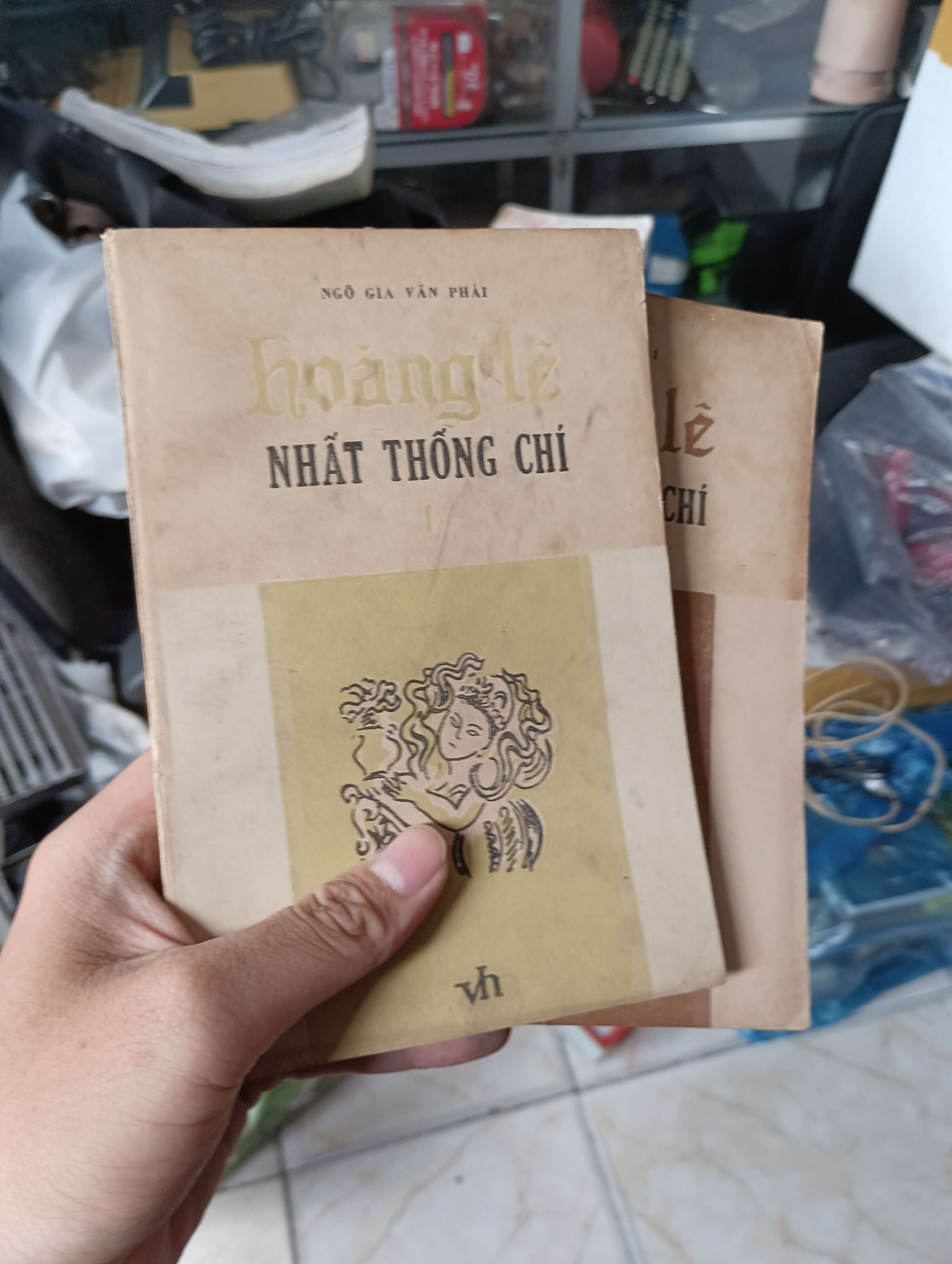 Hoàng Lê Nhất Thống Chí (2 tập) - Ngô Gia Văn Phái 1987 (Sách văn học) KSX