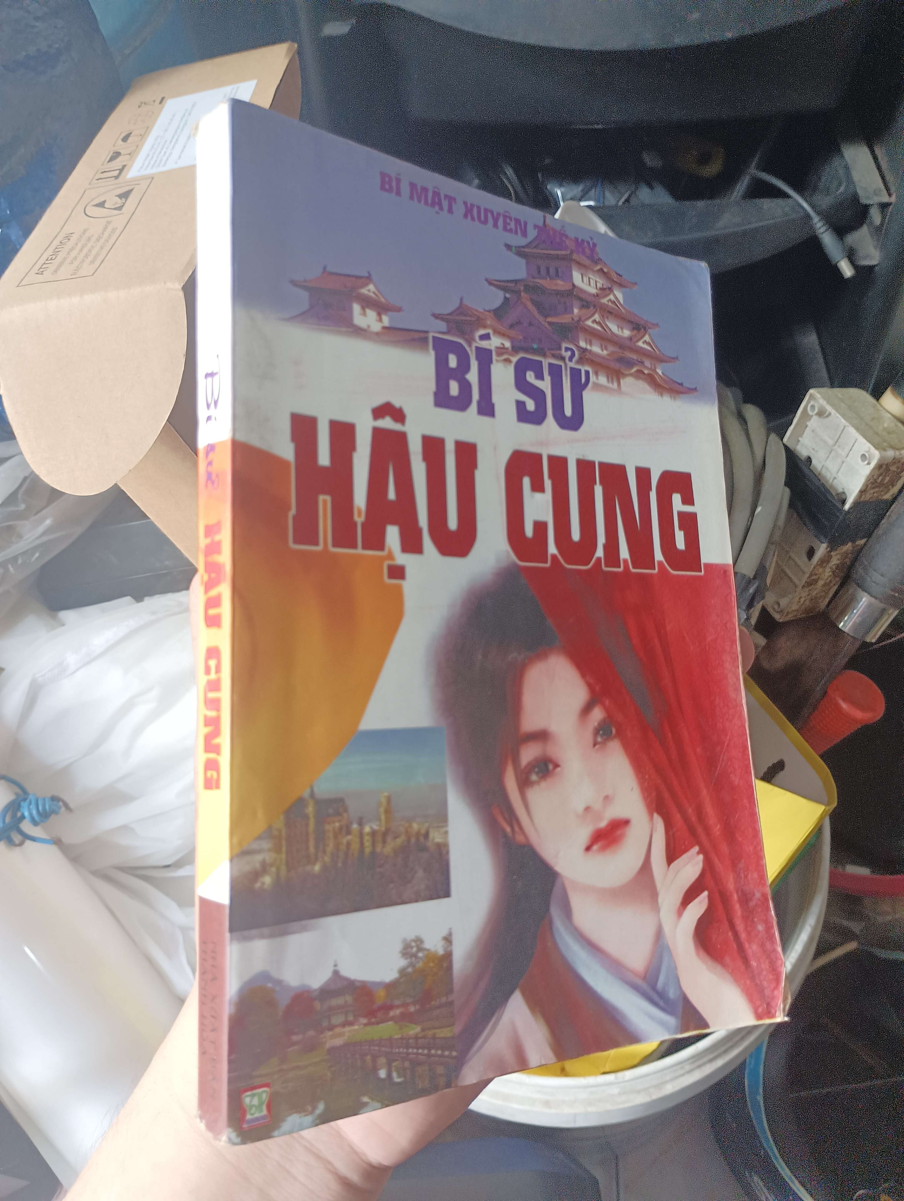 Bí sử hậu cung 2011 (Sách văn học) KSX