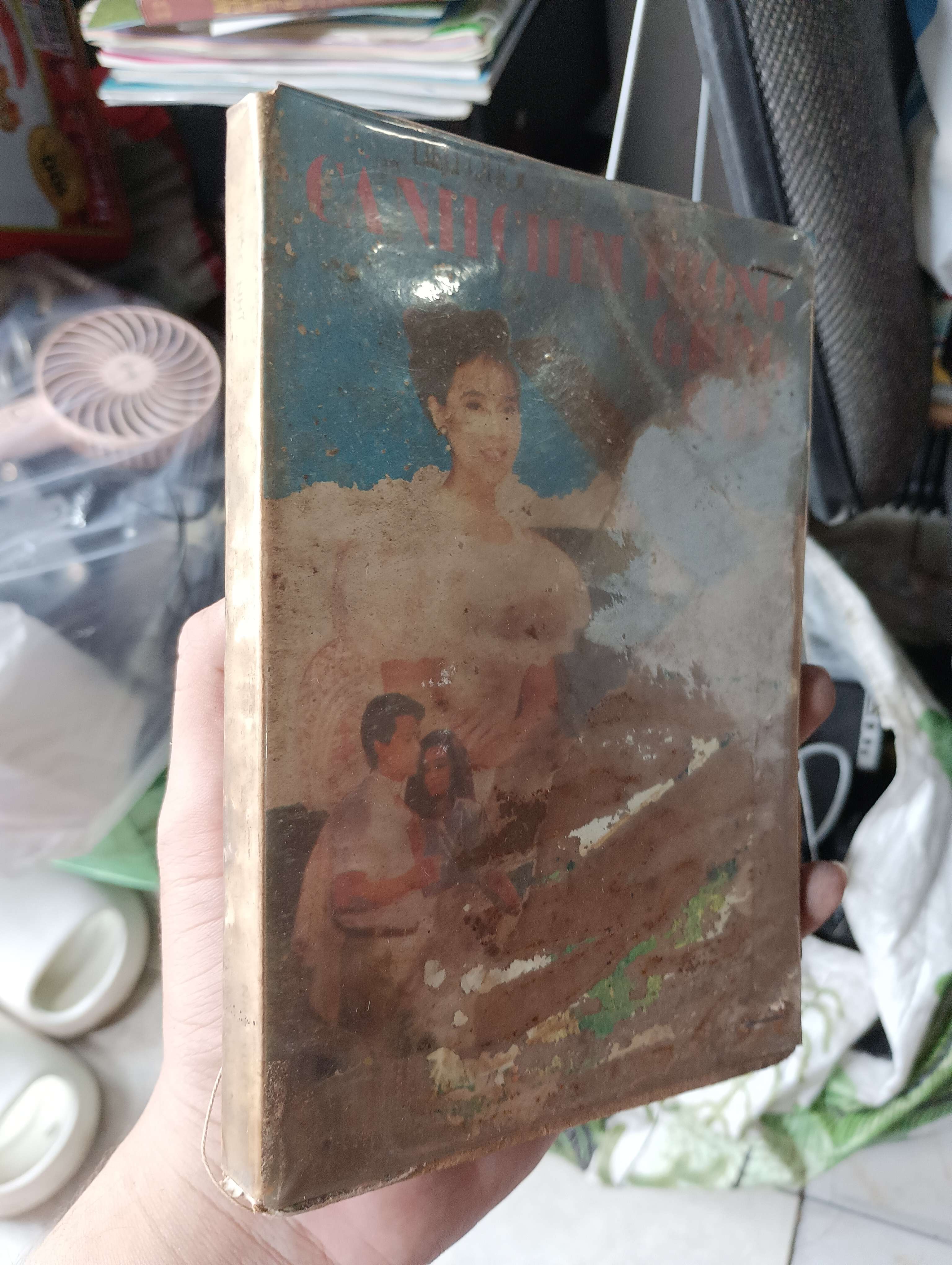CÁNH CHIM TRONG GIÔNG BÃO (Sách văn học) KSX