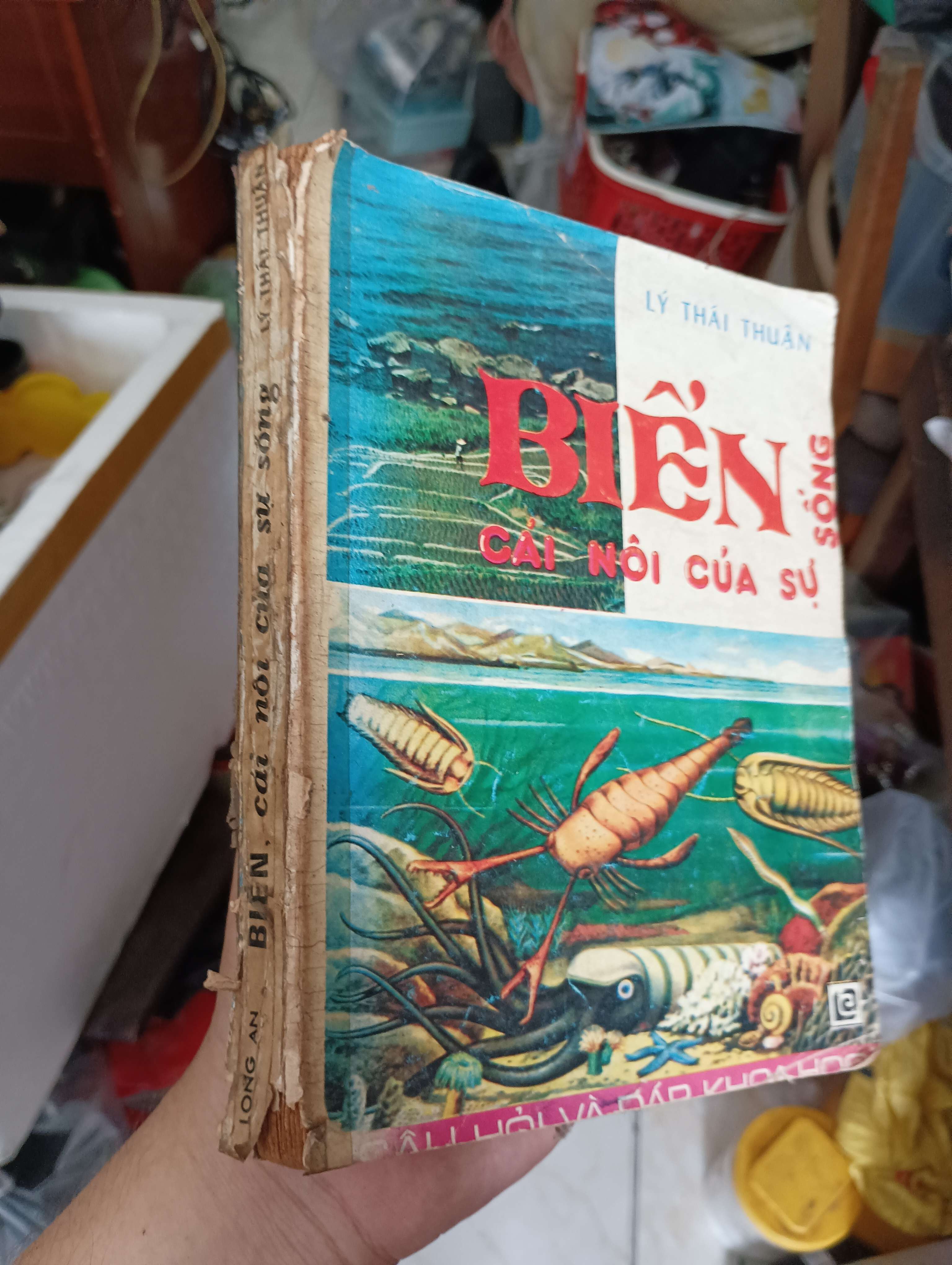 BIỂN - CÁI NÓI CỦA SỰ SỐNG - LÝ THÁI THUẬN (Sách kiến thức tổng hợp) KSX
