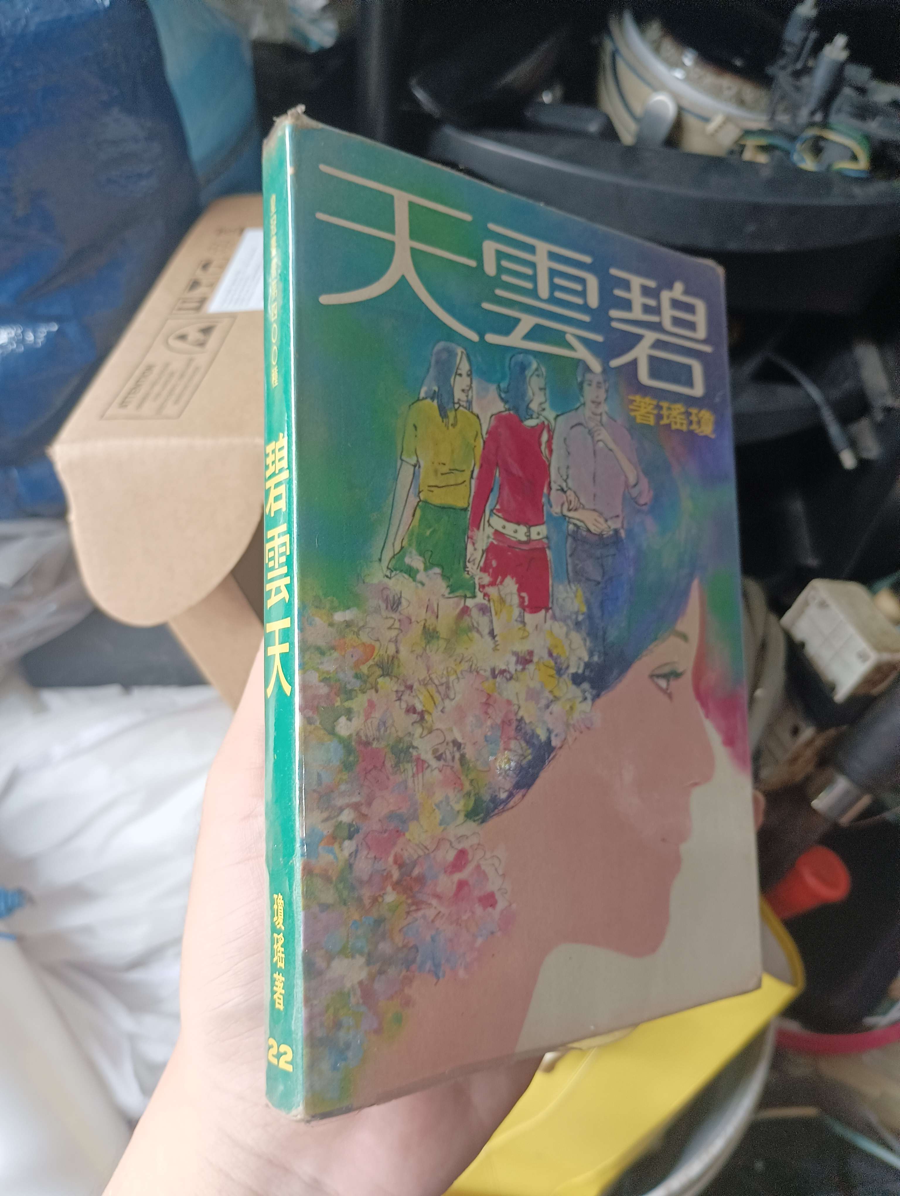 Bích vân thiên (碧雲天) (Văn học nước ngoài) KSX