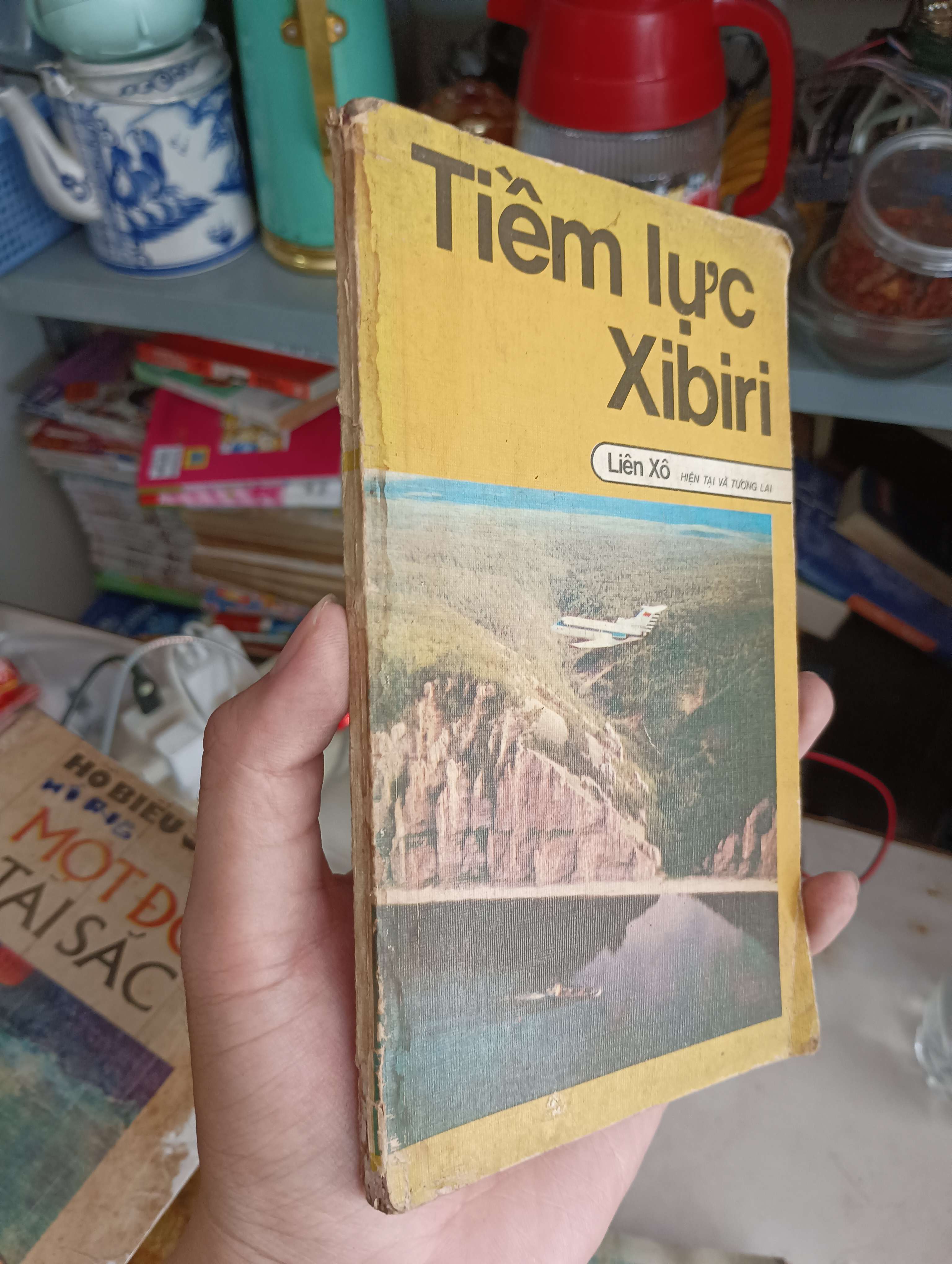 Tiềm lực Xibiri 1983 (Sách kinh tế - tài chính - chứng khoán) KSX