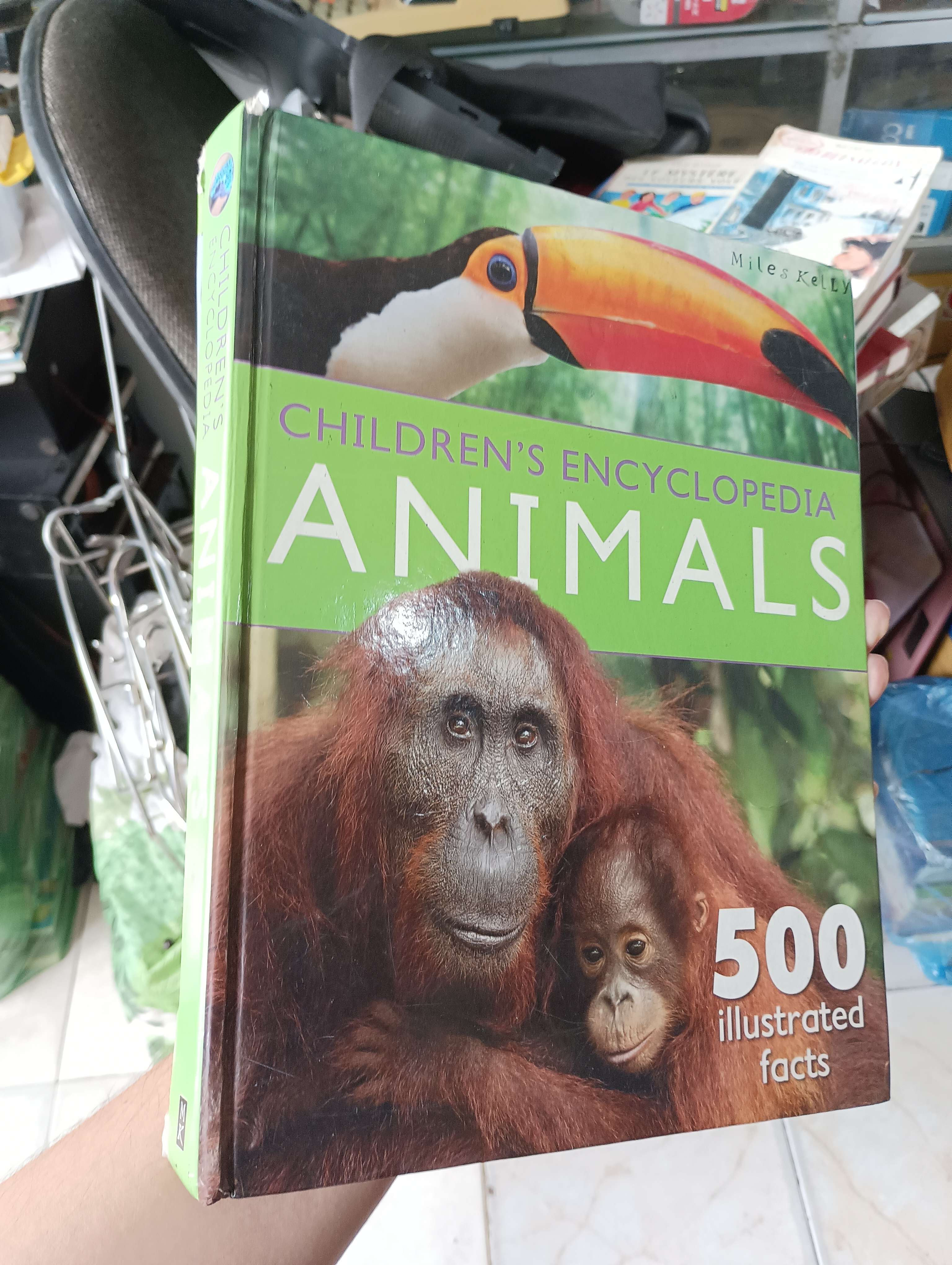 CHILDREN'S ENCYCLOPEDIA ANIMALS - Miles Kelly (Sách kiến thức tổng hợp) KSX