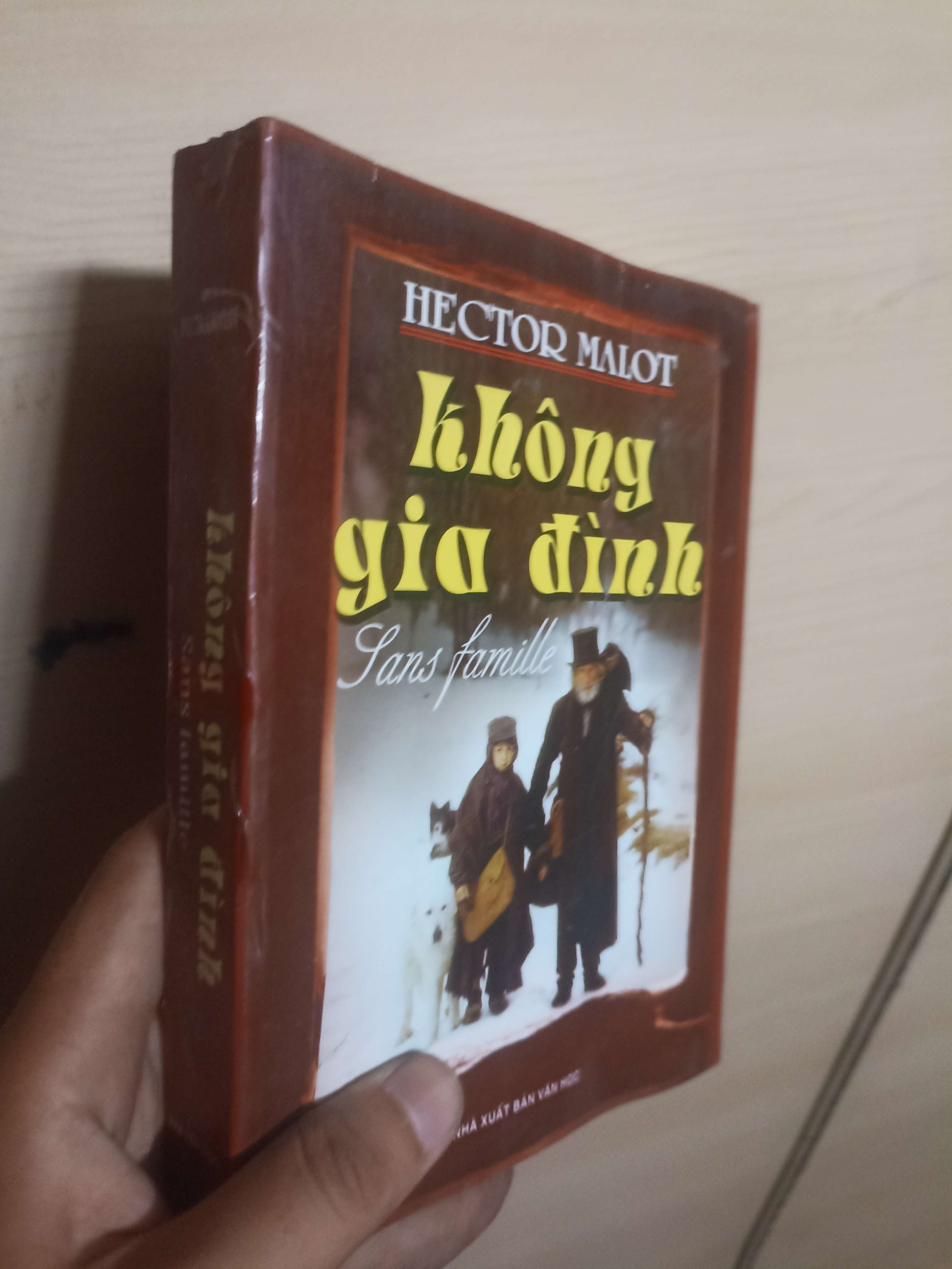 Không gia đình - Hector Malot Mới 80% (Sách văn học) VAVO