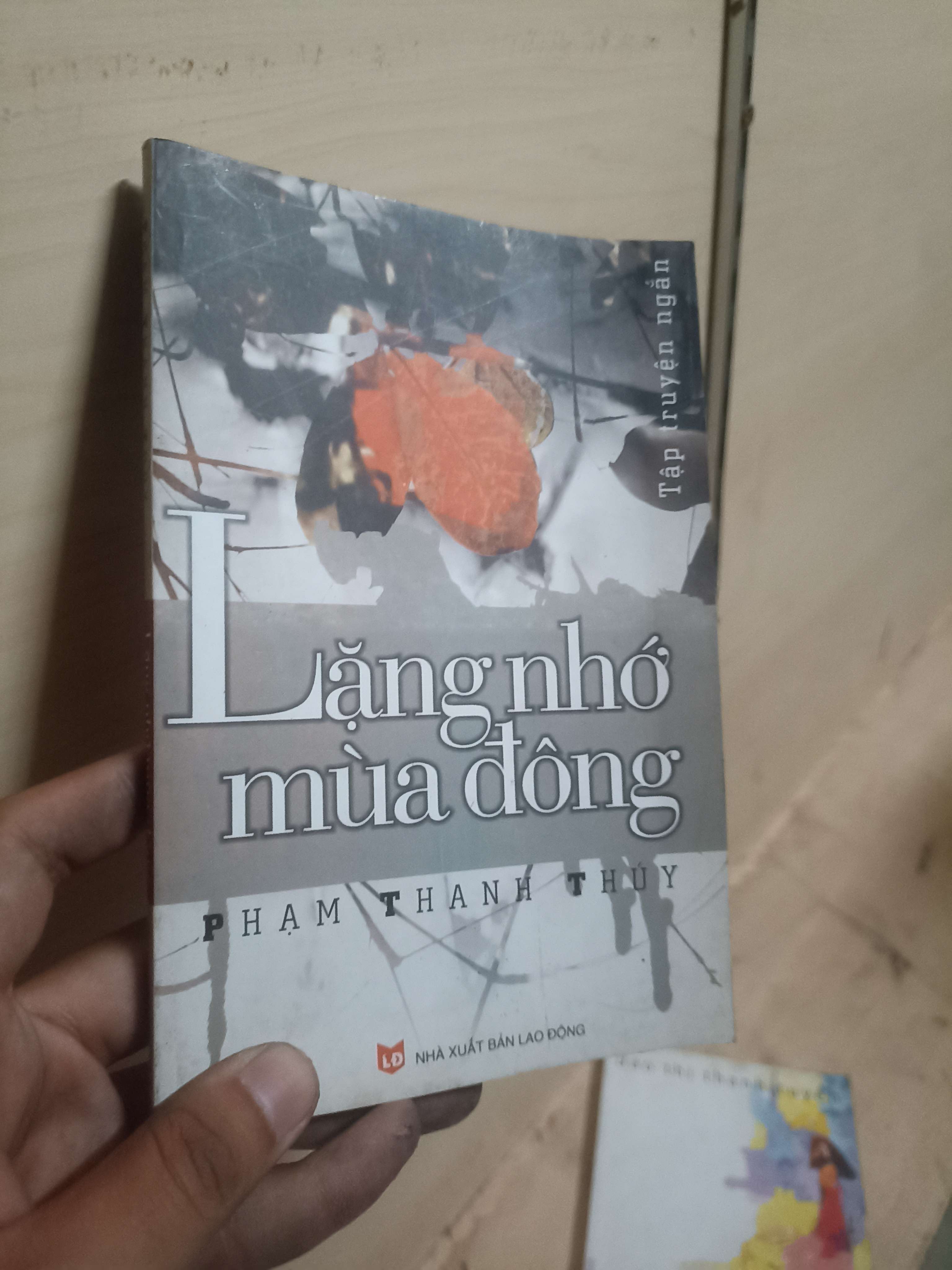 Lặng nhớ mùa Đông - Phạm Thanh Thúy Mới 80% (Sách văn học) VAVO