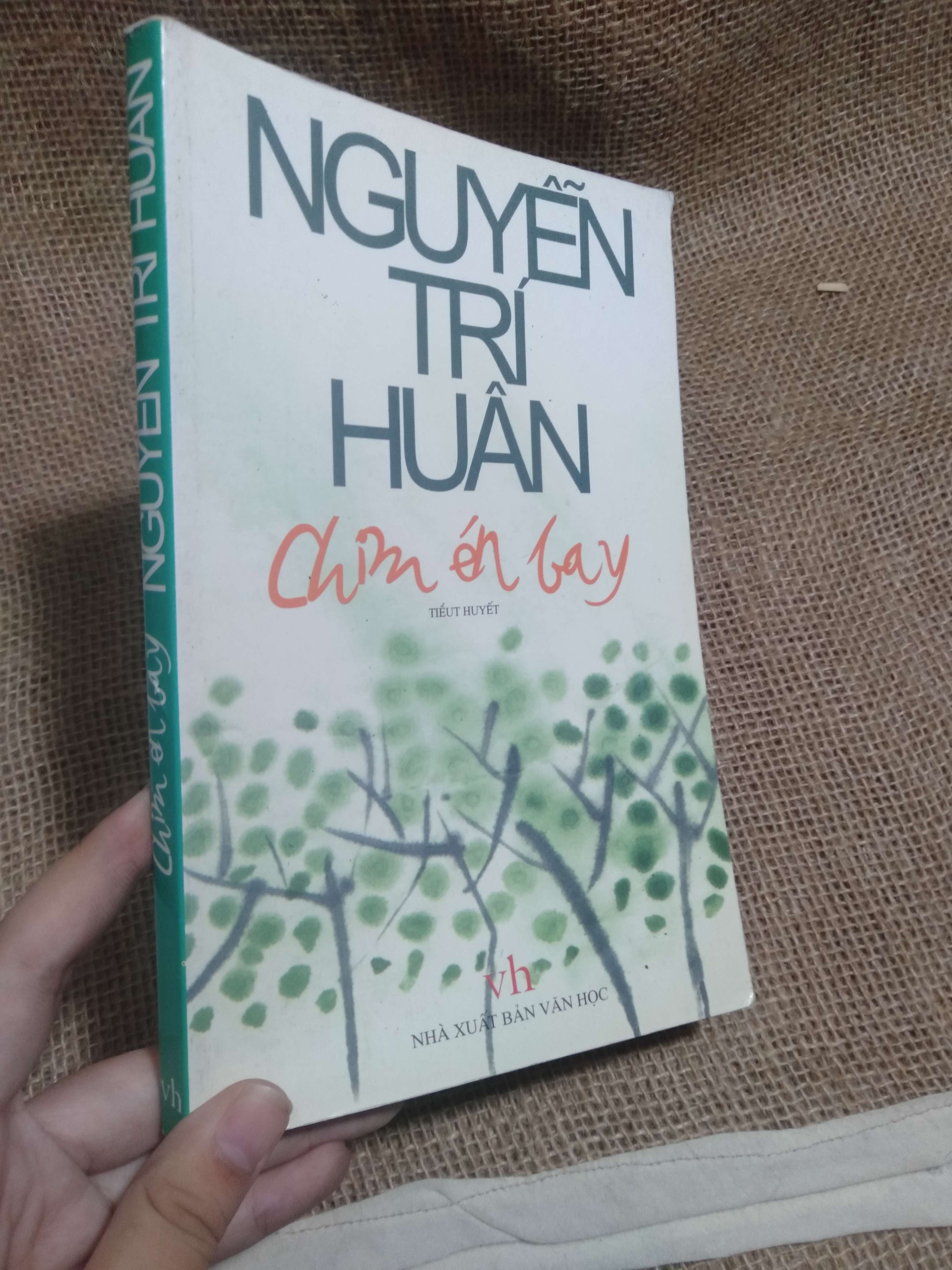 Chim én bay — Nguyễn Trí Huân 2011 mới 90% (Tiểu Thuyết) HLSC