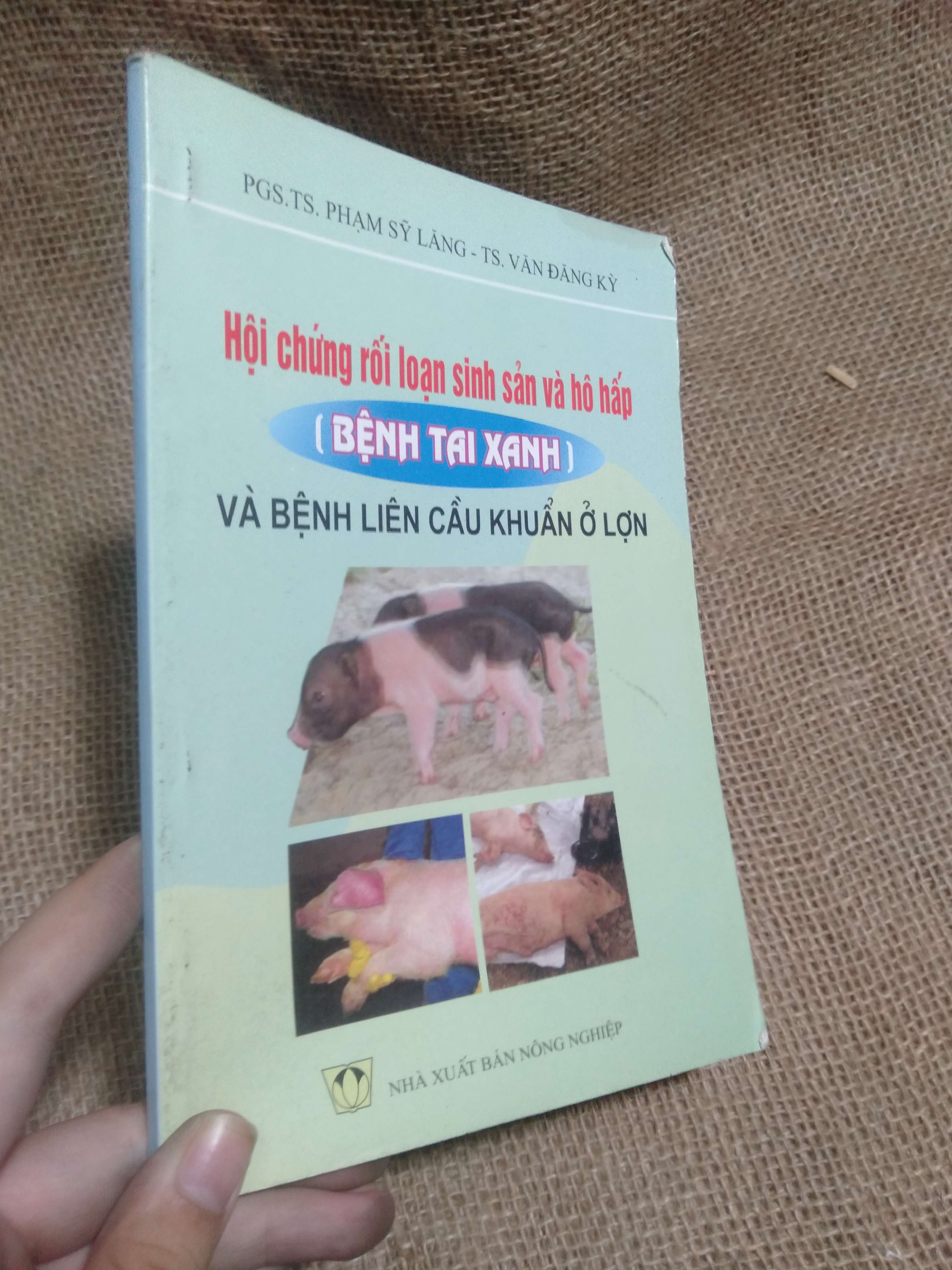 Hội chứng rối loạn sinh sản và hô hấp (Bệnh tai xanh) và bệnh liên cầu khuẩn ở lợn - PGS.TS. Phạm Sỹ Lăng, TS. Văn Đăng Kỳ 2008 mới 80% móp góc nhẹ (Kiến thức - kỹ năng cho con) HLSC