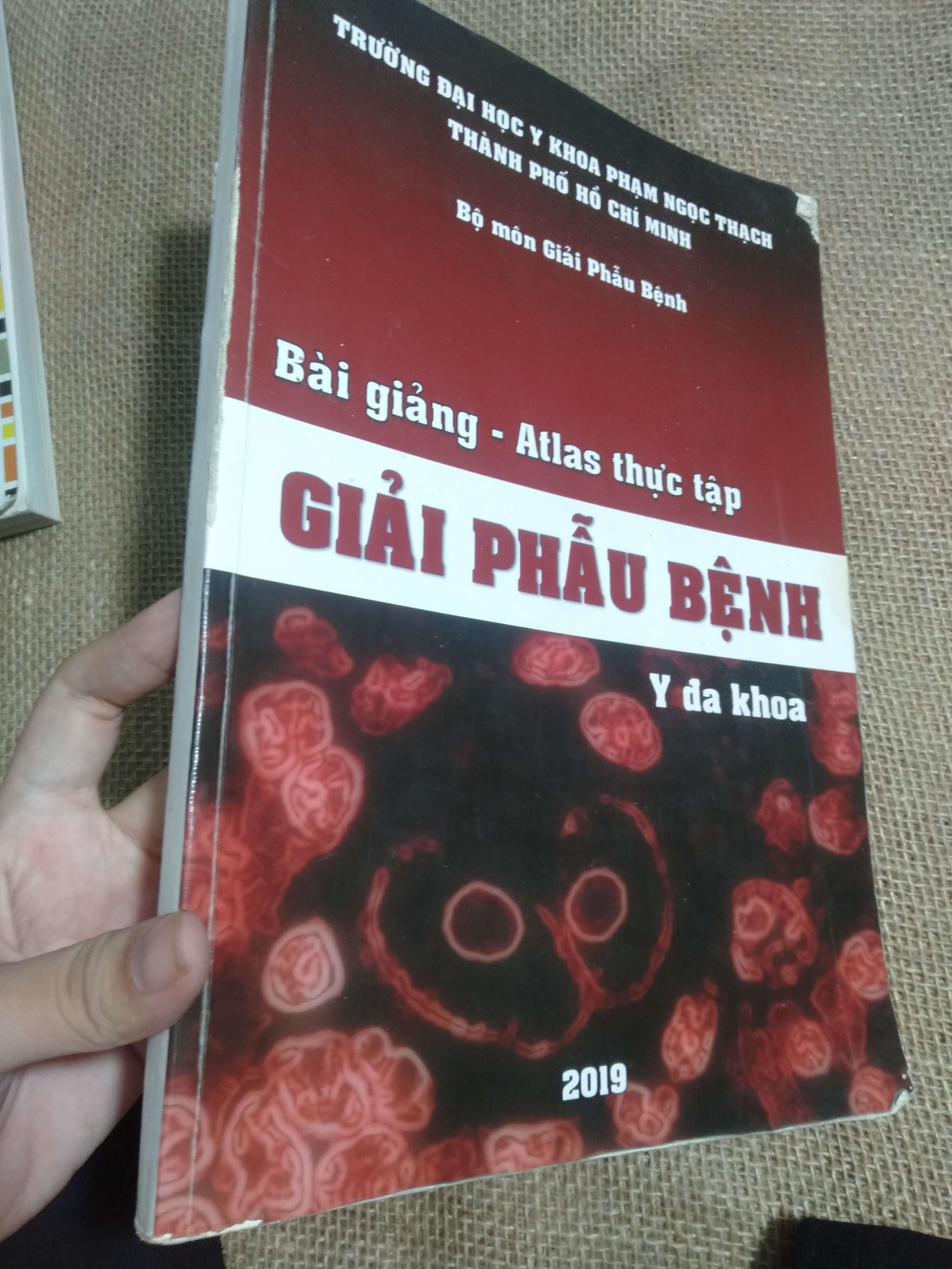 Bài giảng - Atlas thực tập giải phẫu bệnh Y đa khoa 2019 - nhà sản xuất/đơn vị phát hành Trường Đại học Y khoa Phạm Ngọc Thạch Thành phố Hồ Chí Minh 2019 mới 80% bị ghi vô sách (Giáo trình đại học - cao đẳng) HCM
