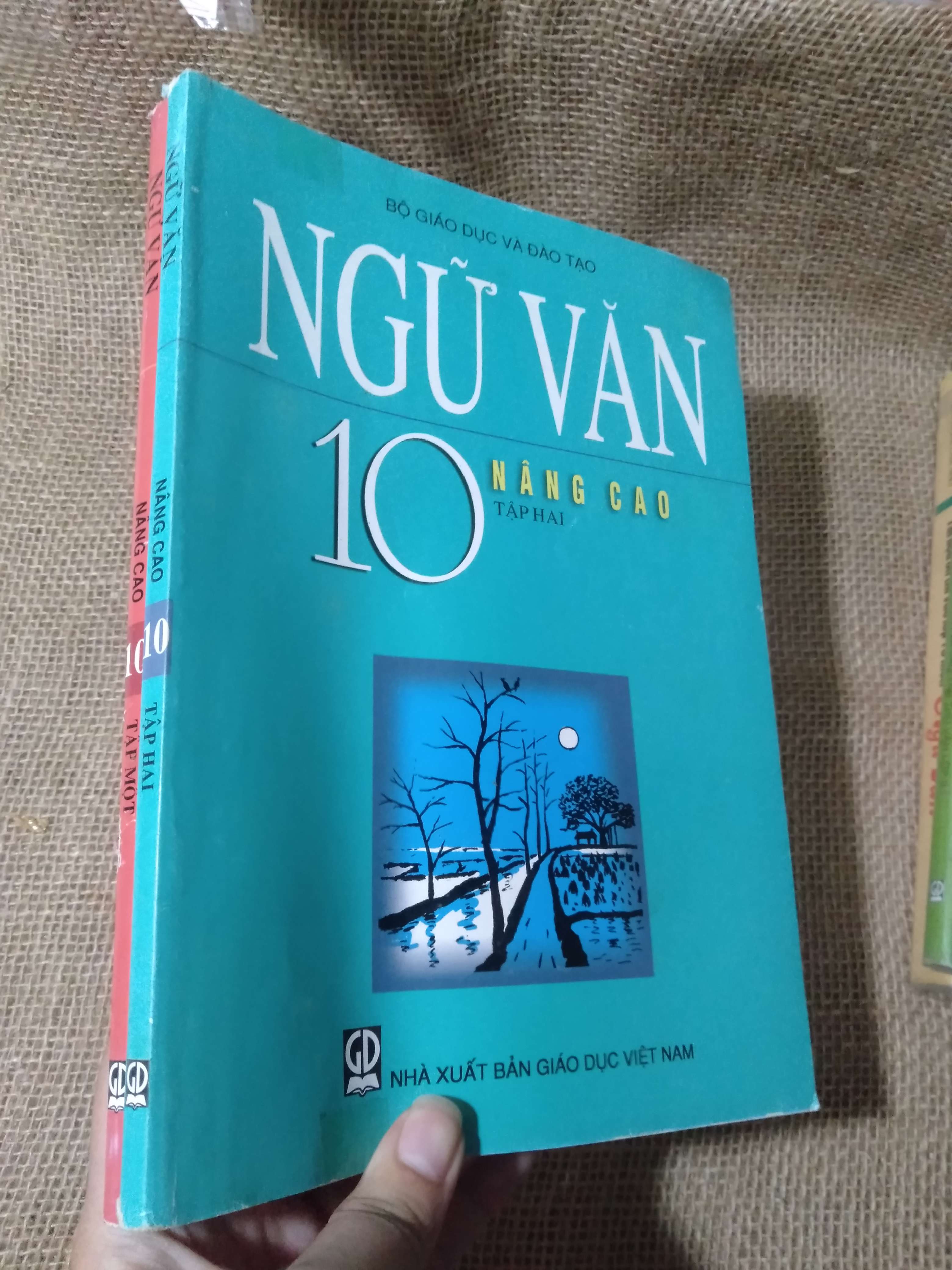 Bộ sách Ngữ văn 10 Nâng cao (Tập một & Tập hai) — Nhà xuất bản Giáo dục Việt Nam bộ 2 quyển 2016 mới 80% hơi ố (Sách giáo khoa - giáo trình) HLSC