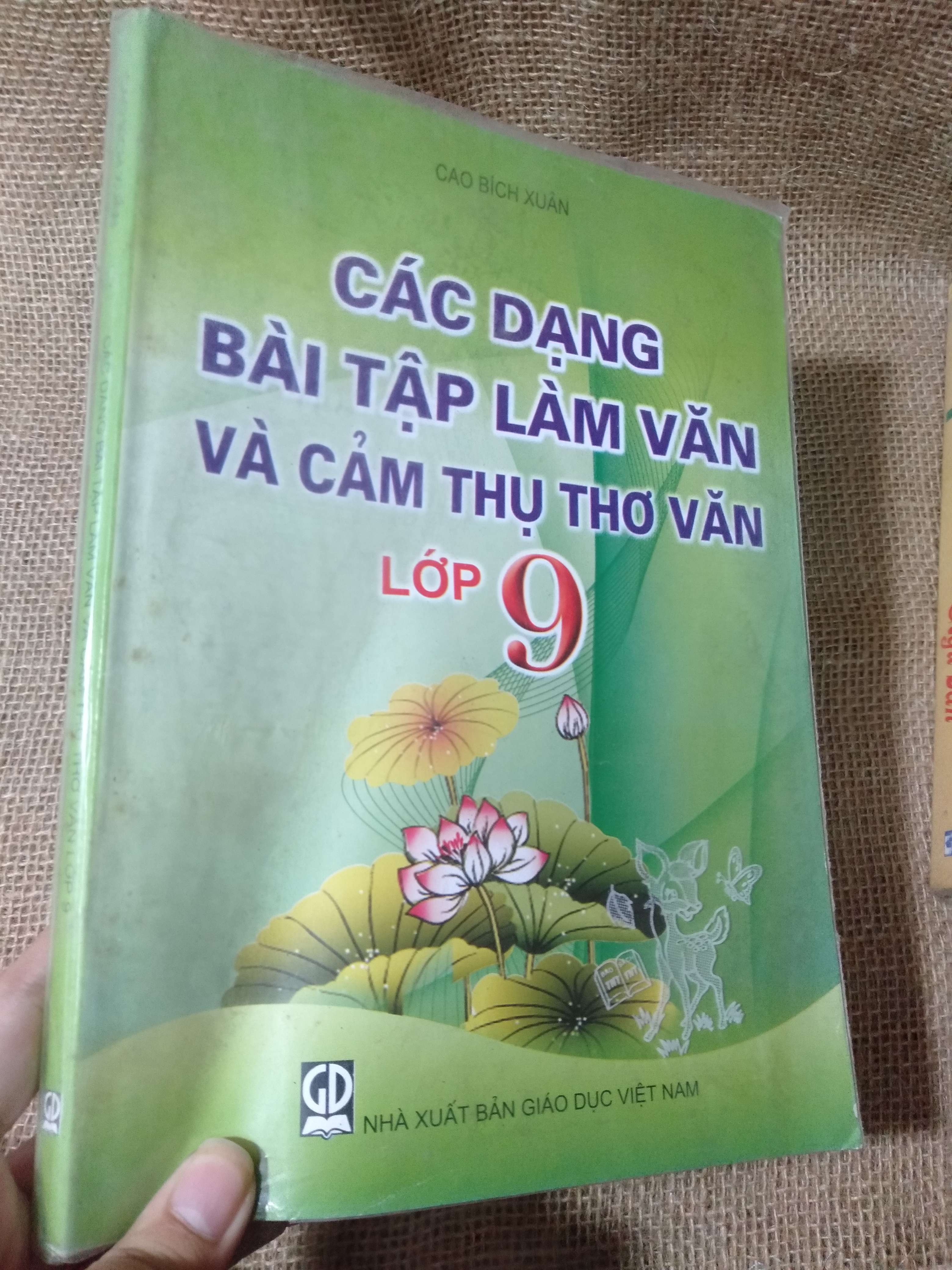 Các dạng bài tập làm văn và cảm thụ thơ văn lớp 9 — Cao Bích Xuân 2015 mới 80% ố nhẹ (Tham khảo - luyện thi) HLSC