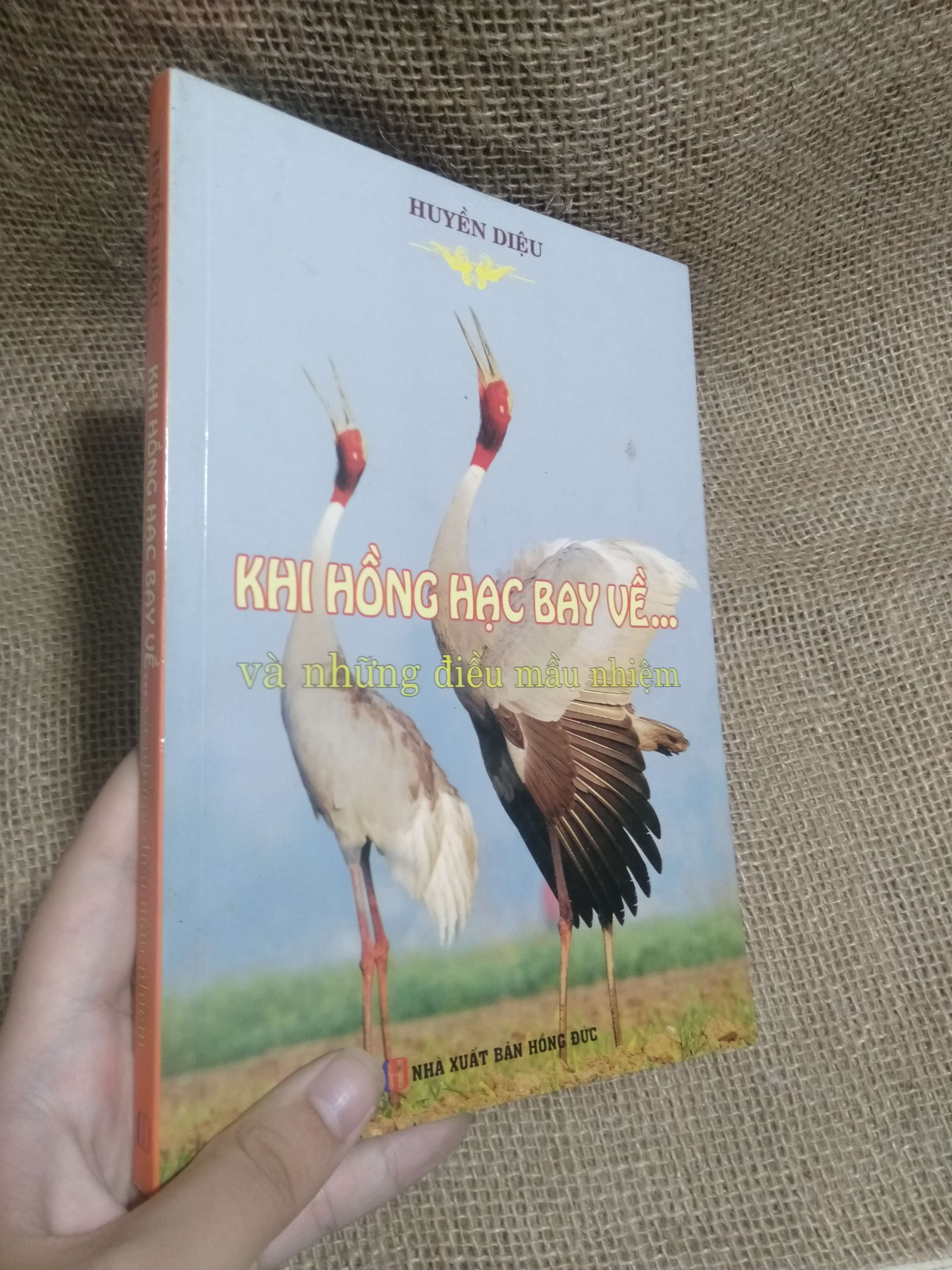 Khi hồng hạc bay về... và những điều mầu nhiệm - Huyền Diệu 2014 mới 90% (Chữa lành) HLSC