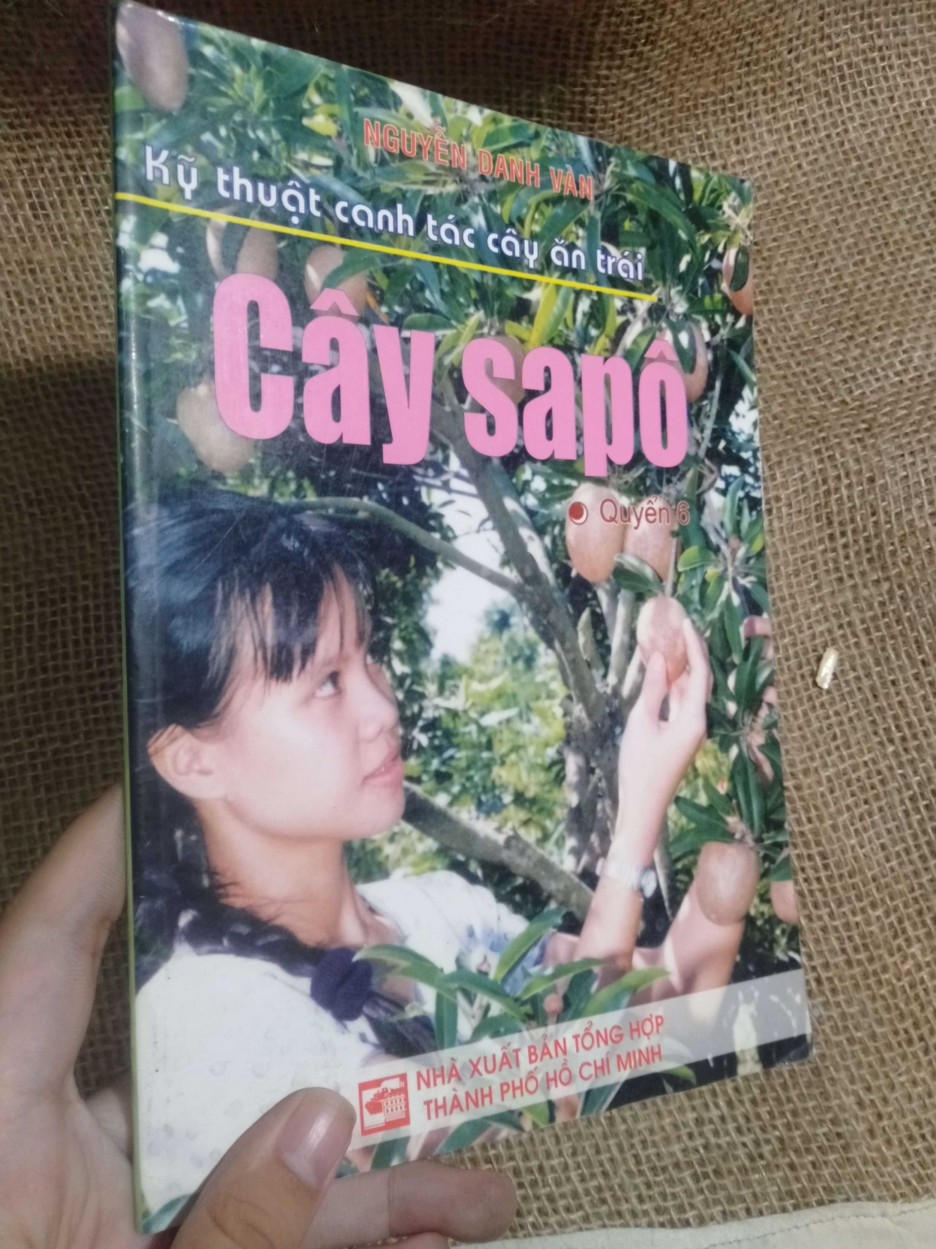 Kỹ thuật canh tác cây ăn trái: Cây sapô - Nguyễn Danh Vân 2008 mới 90% móp góc (Sách kỹ năng) HLSC