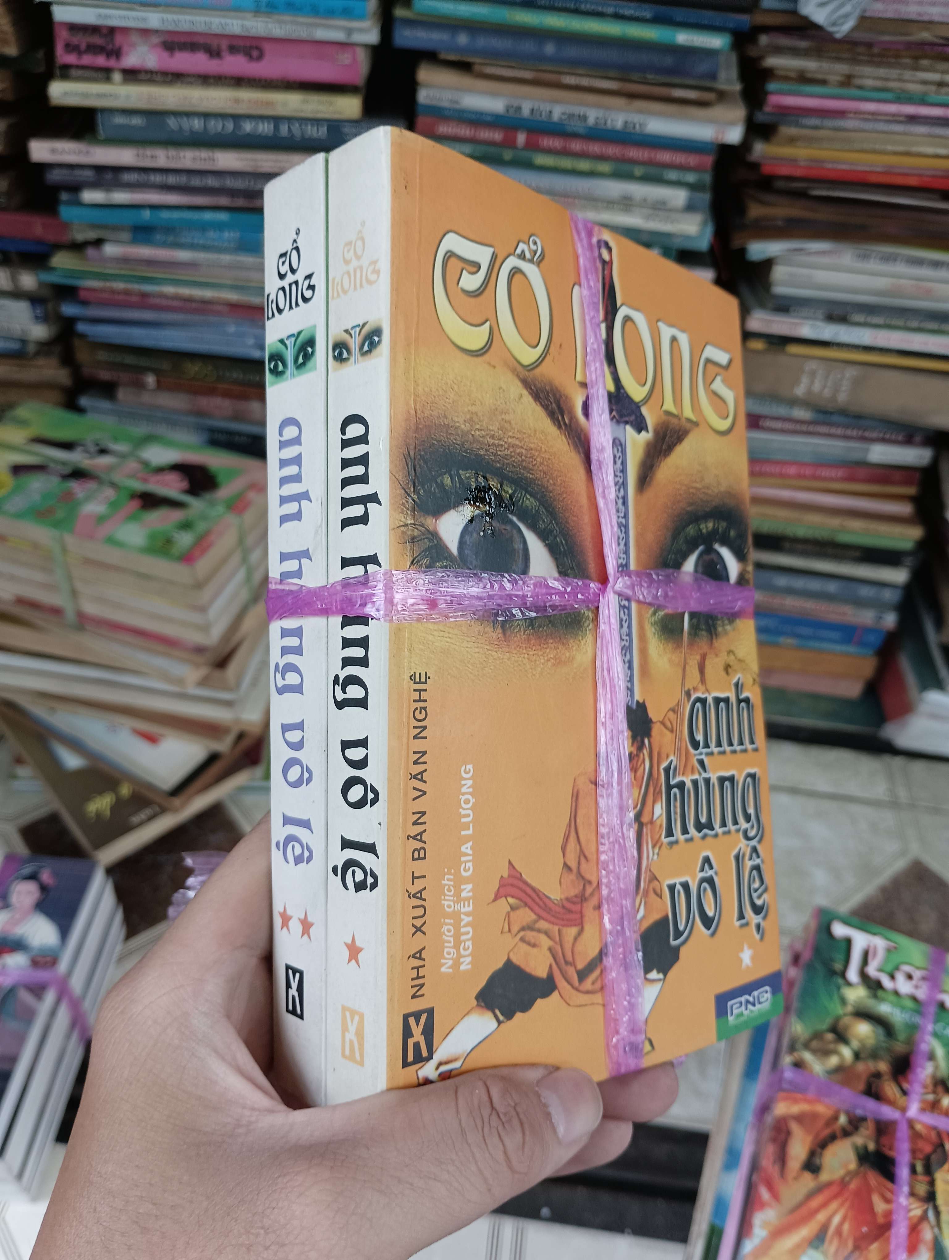 Anh Hùng Vô Lệ (2 tập) - Cổ Long (Tiểu Thuyết) BGB