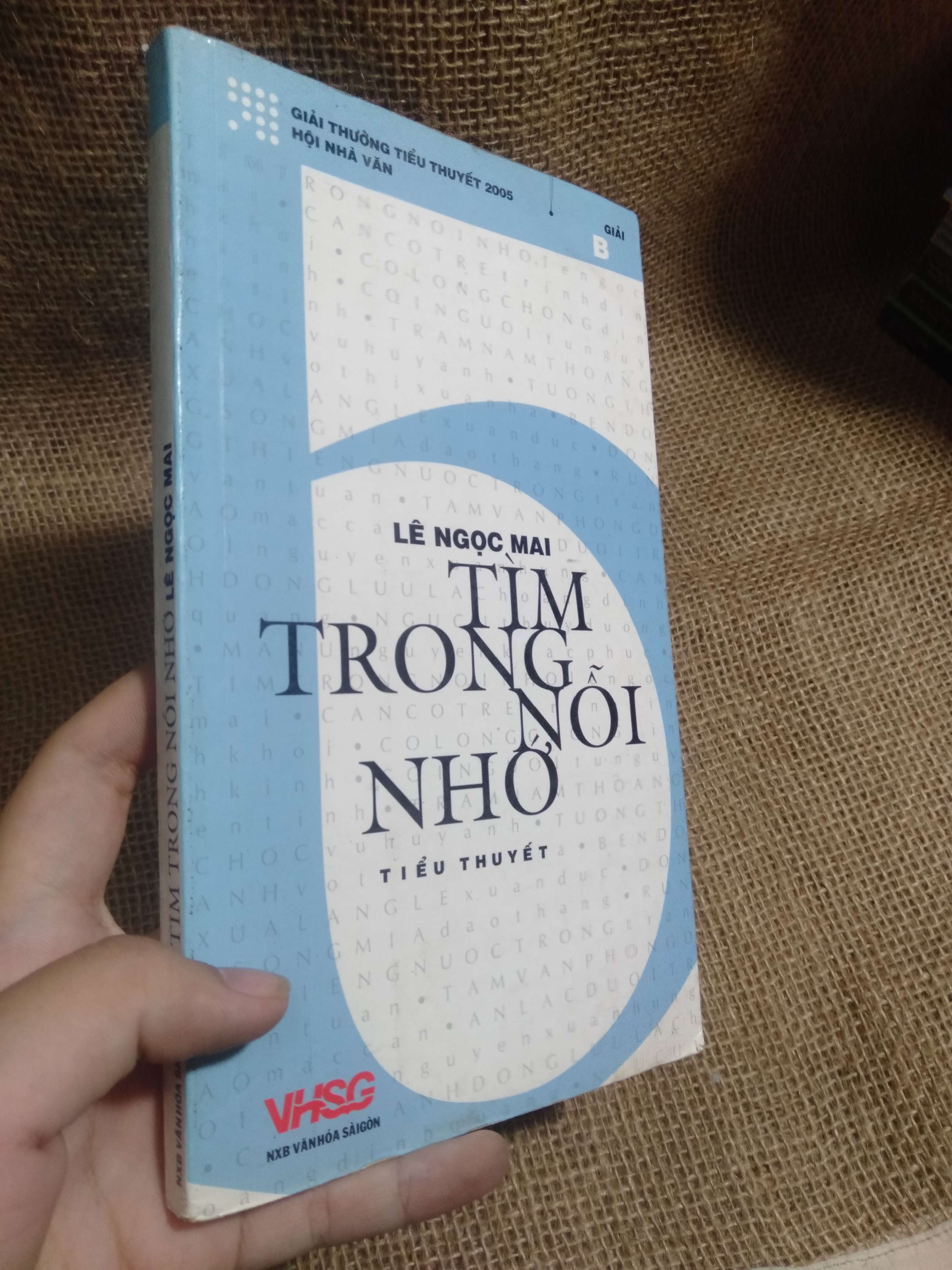 Tìm trong nỗi nhớ - Lê Ngọc Mai 2006 mới 90% thấm nước nhẹ (Tiểu Thuyết) HLSC