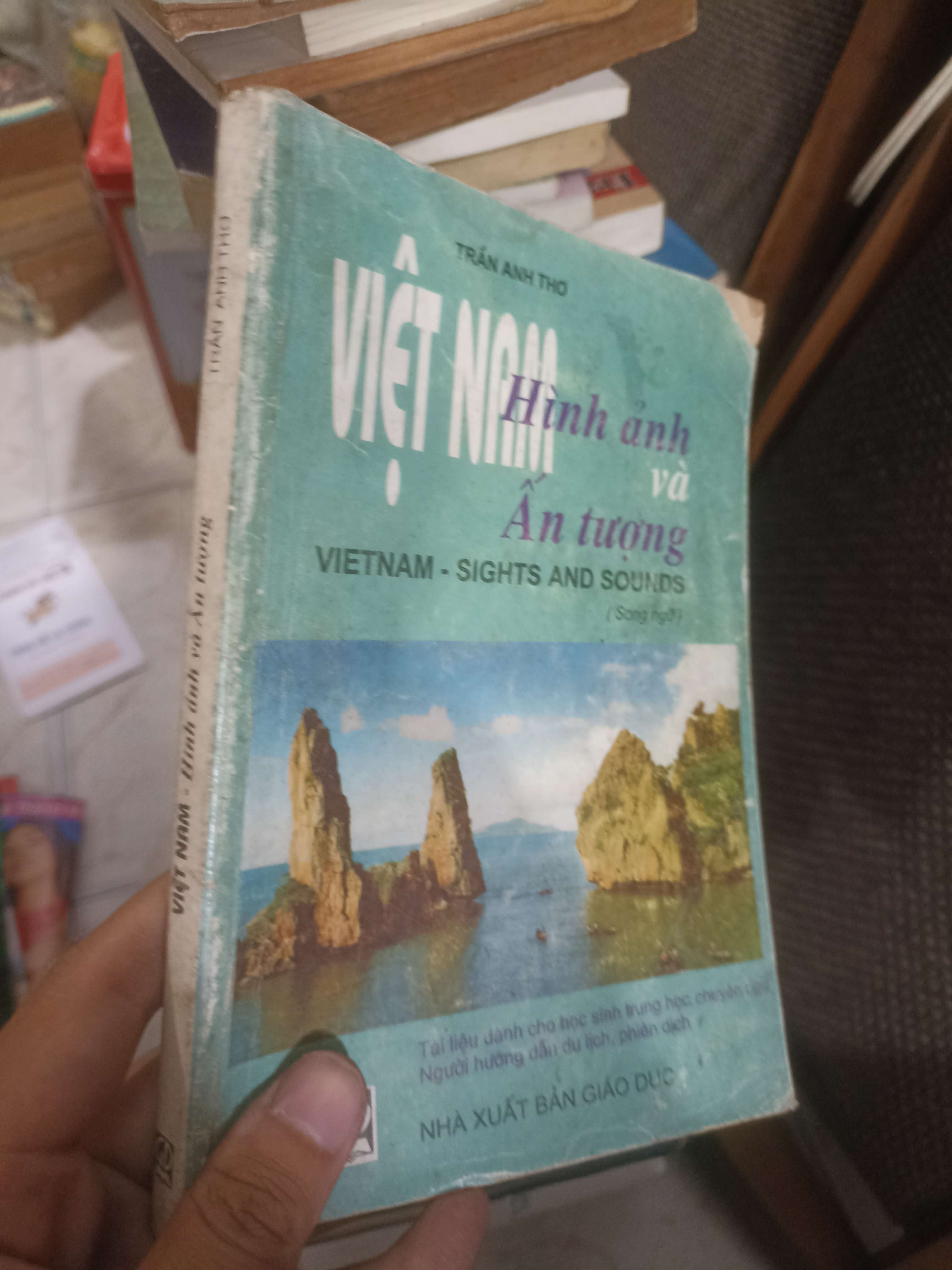 Việt Nam - Hình ảnh và ấn tượng (Vietnam - Sights and Sounds) (Trần Anh Thơ) (Sách văn học) KSX