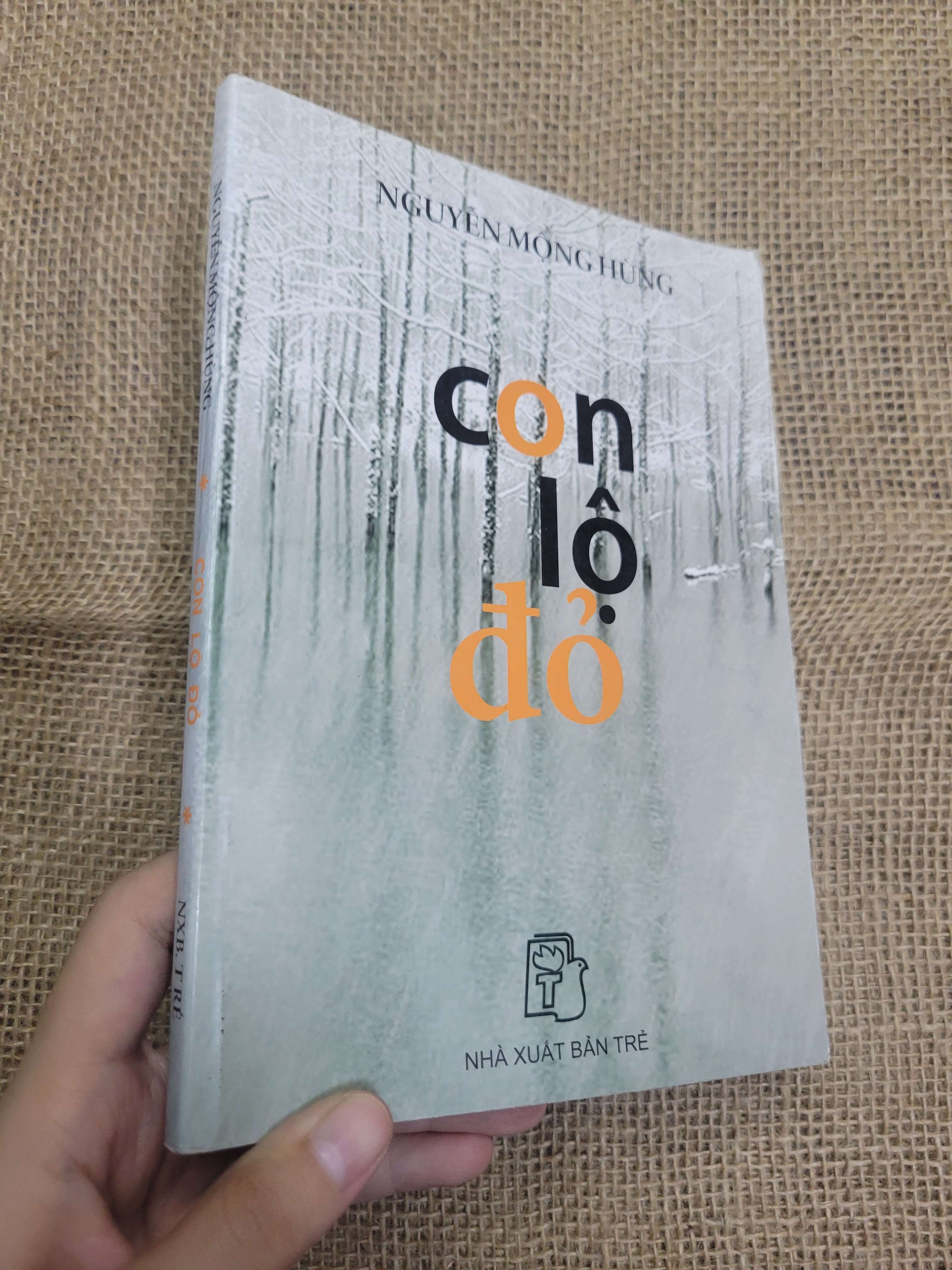 Con lộ đỏ - Nguyễn Mộng Hùng 2013 mới 80% bẩn bìa, ố (Sách văn học) HLSC