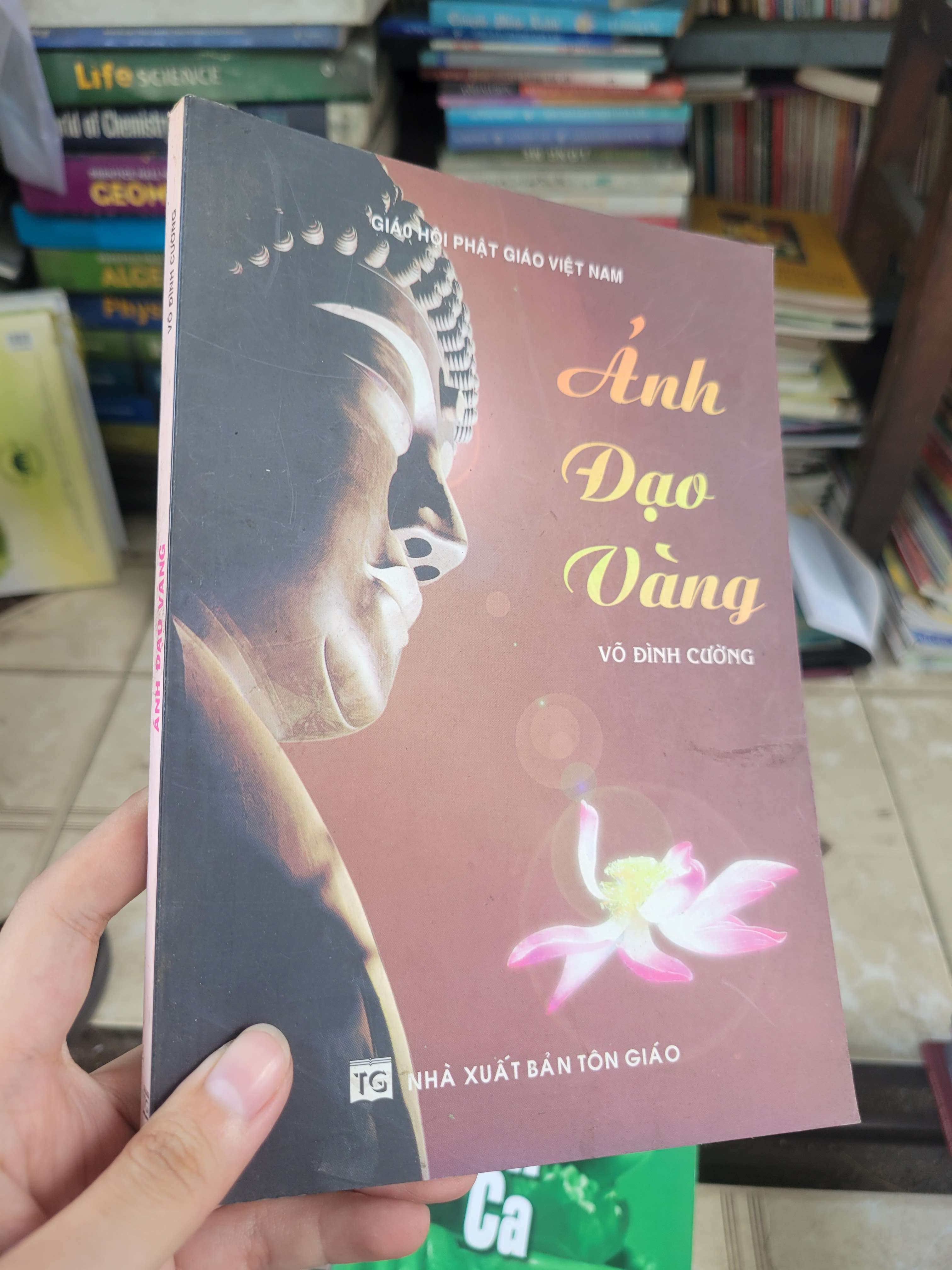Ánh đạo vàng - Võ Đình Cường 2016 mới 80% bẩn bìa, ố (Sách tôn giáo - tâm linh) BGB