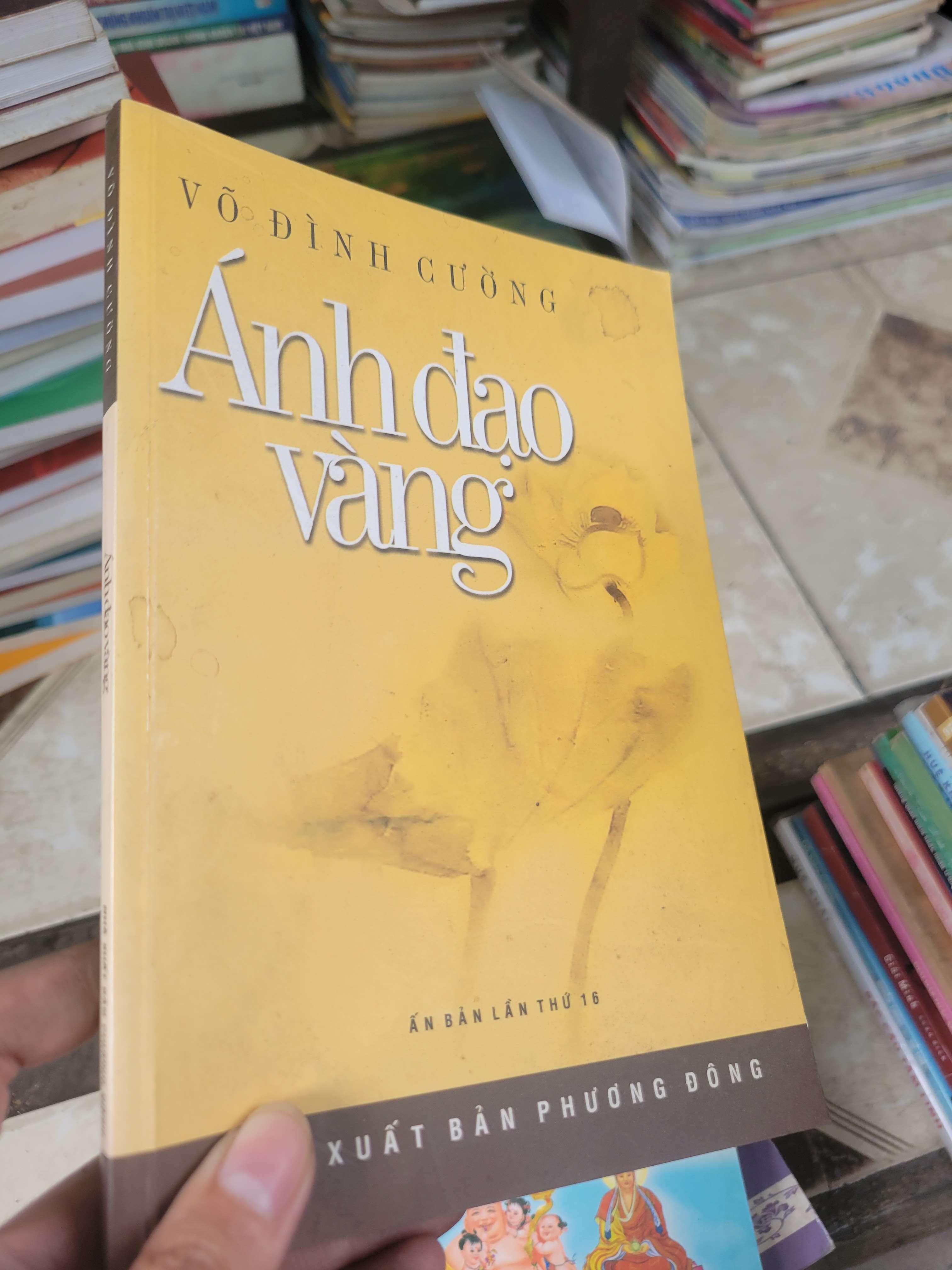 Ánh đạo vàng - Võ Đình Cường 2007 mới 80% bẩn bìa, ố, có mộc (Sách tôn giáo - tâm linh) BGB