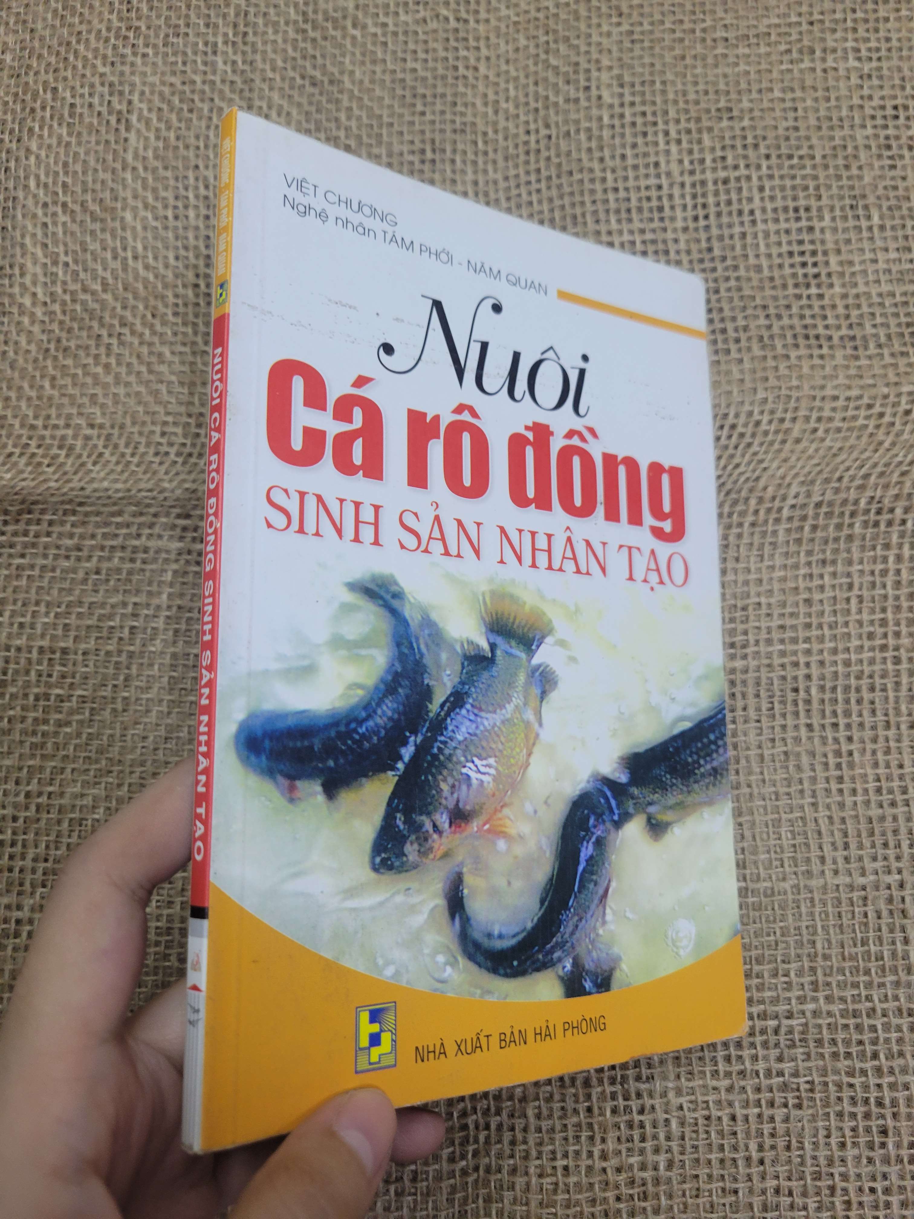 Nuôi cá rô đồng sinh sản nhân tạo - Việt Chương 2011 mới 80% bẩn bìa, ố (Sách kiến thức tổng hợp) HLSC
