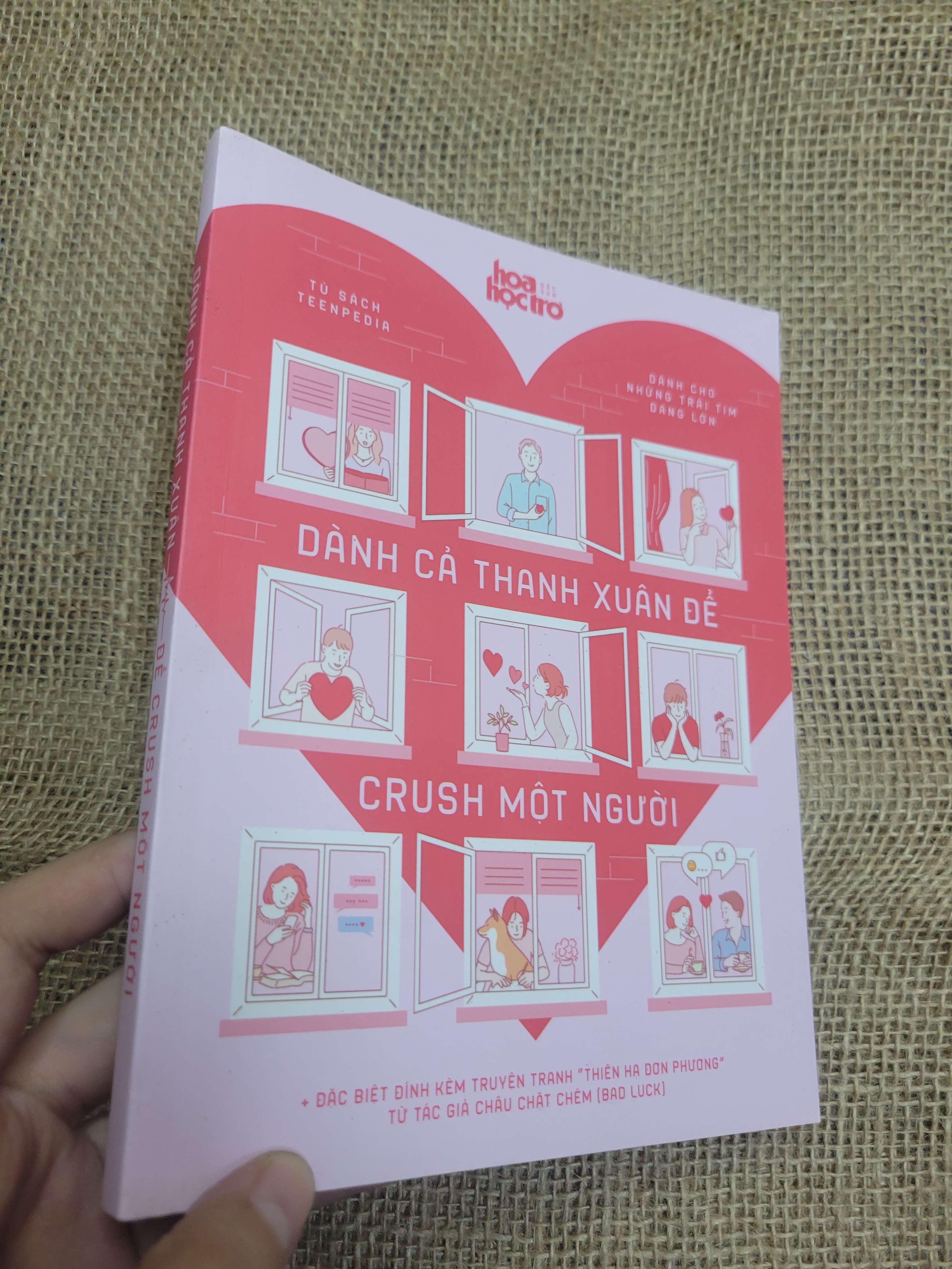 Dành cả thanh xuân để crush một người sách màu 2018 mới 80% bẩn bìa, ố (Sách văn học) HLSC