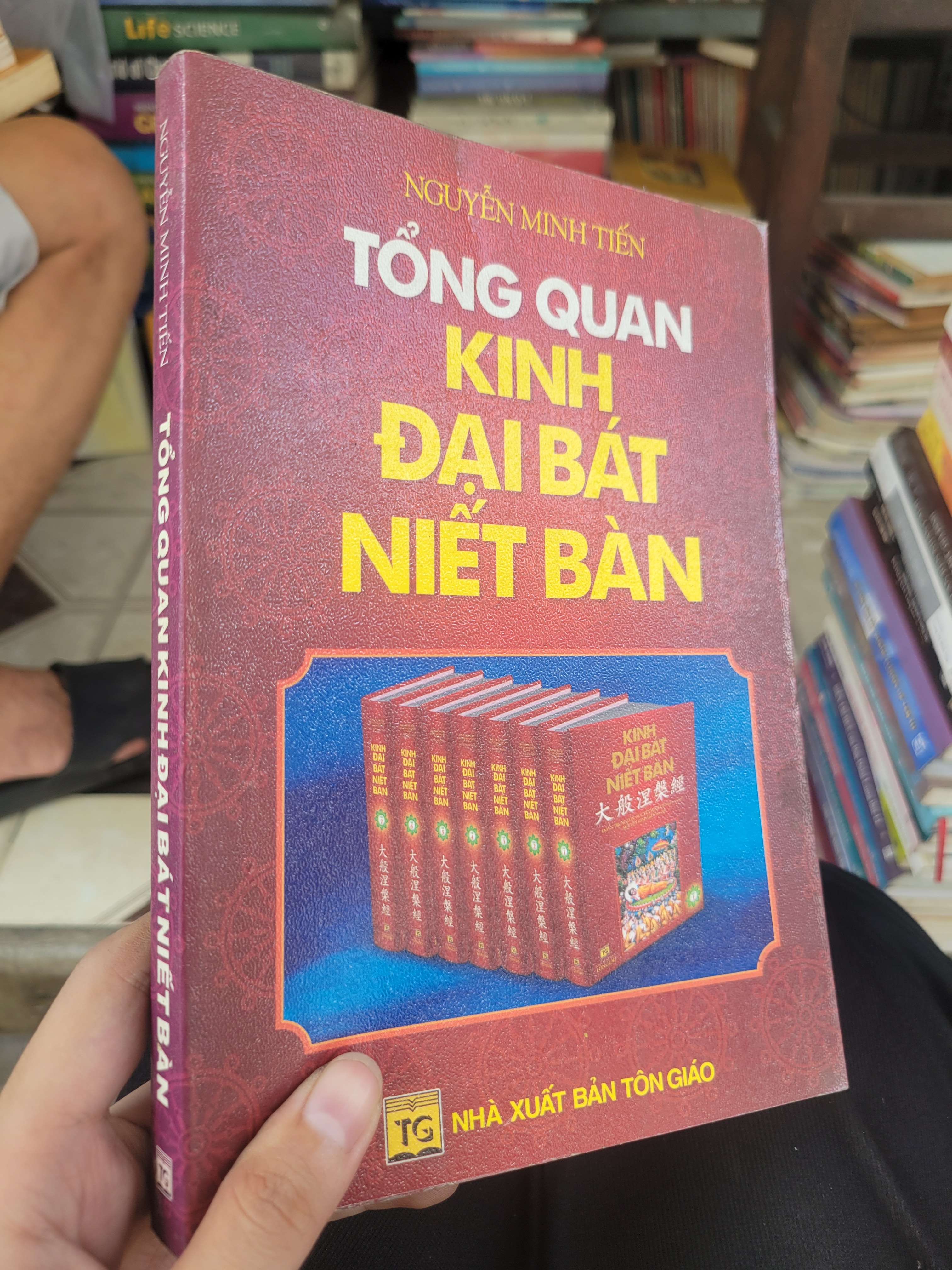 Tổng quan kinh đại bát niết bàn - Nguyễn Minh Tiến 2010 mới 80% bẩn bìa, ố (Sách tôn giáo - tâm linh) BGB