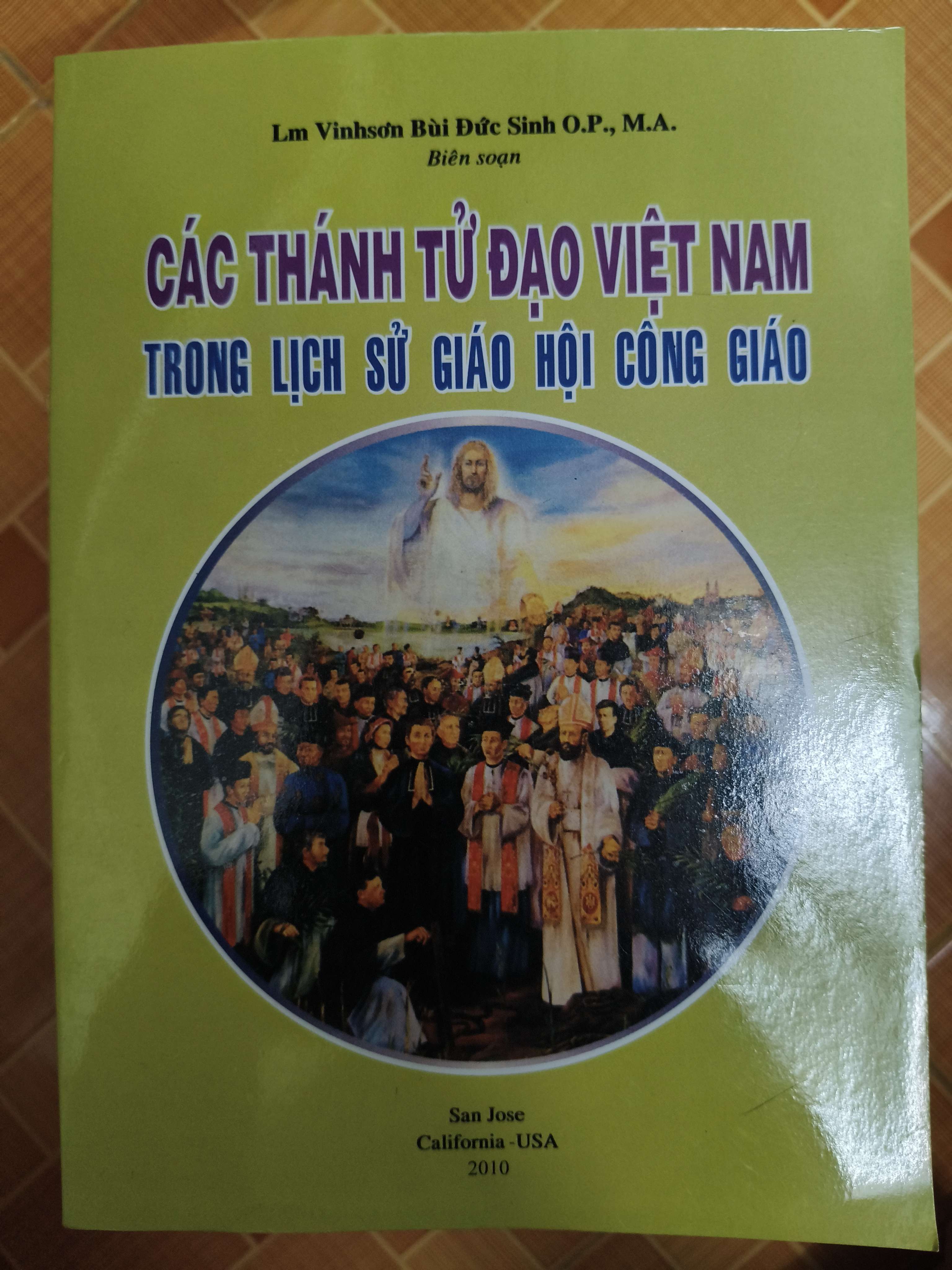 Các thánh tử đạo Việt Nam trong lịch sử giáo hội Công giáo - Xb 2010 - 358 trang (Công giáo) ANTQ