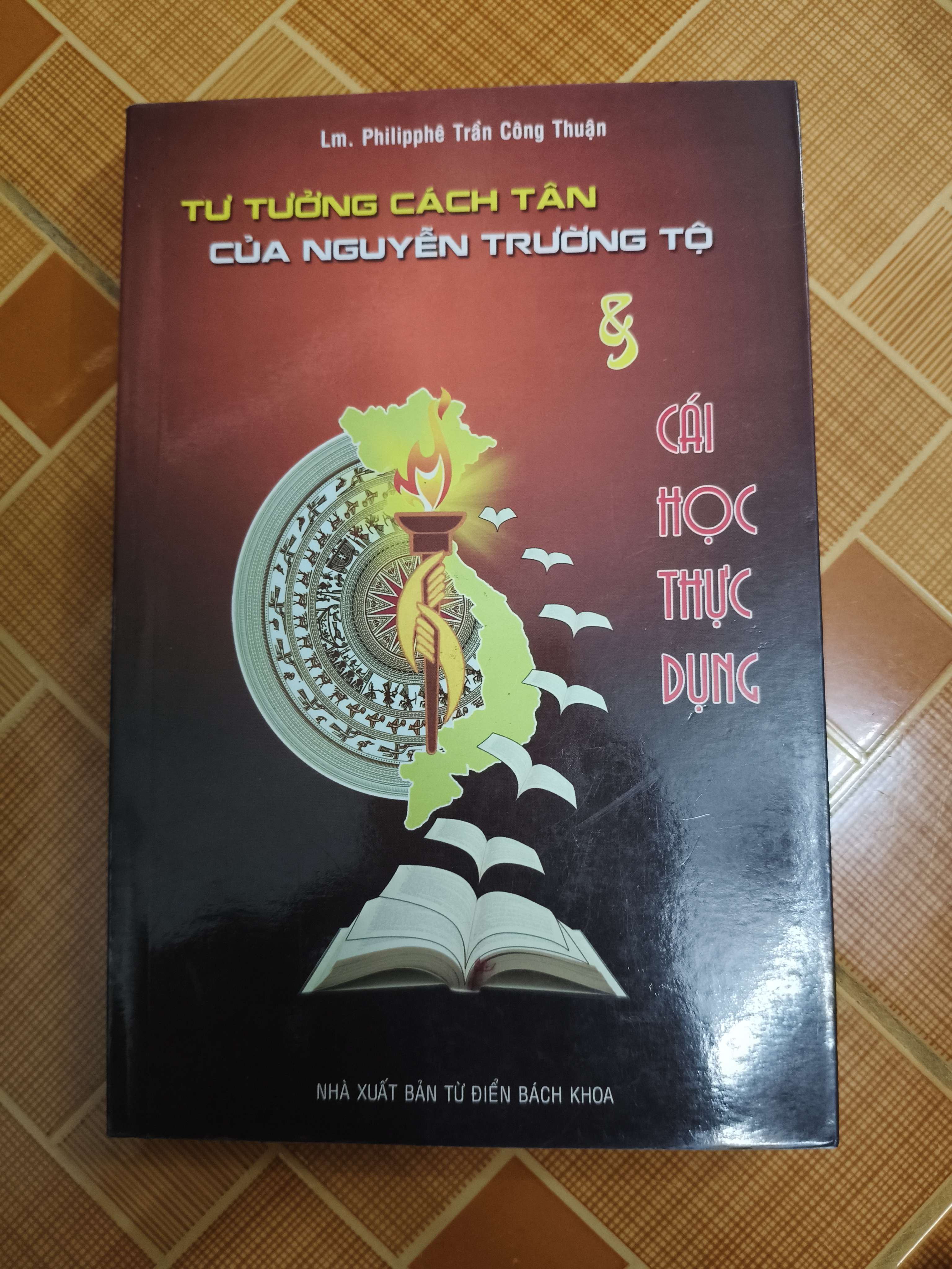 Tư tưởng cách tân của Nguyễn Trường Tộ và cái học thực dụng - Xb 2012 - 226 trang (Sách lịch sử - triết học) ANTQ