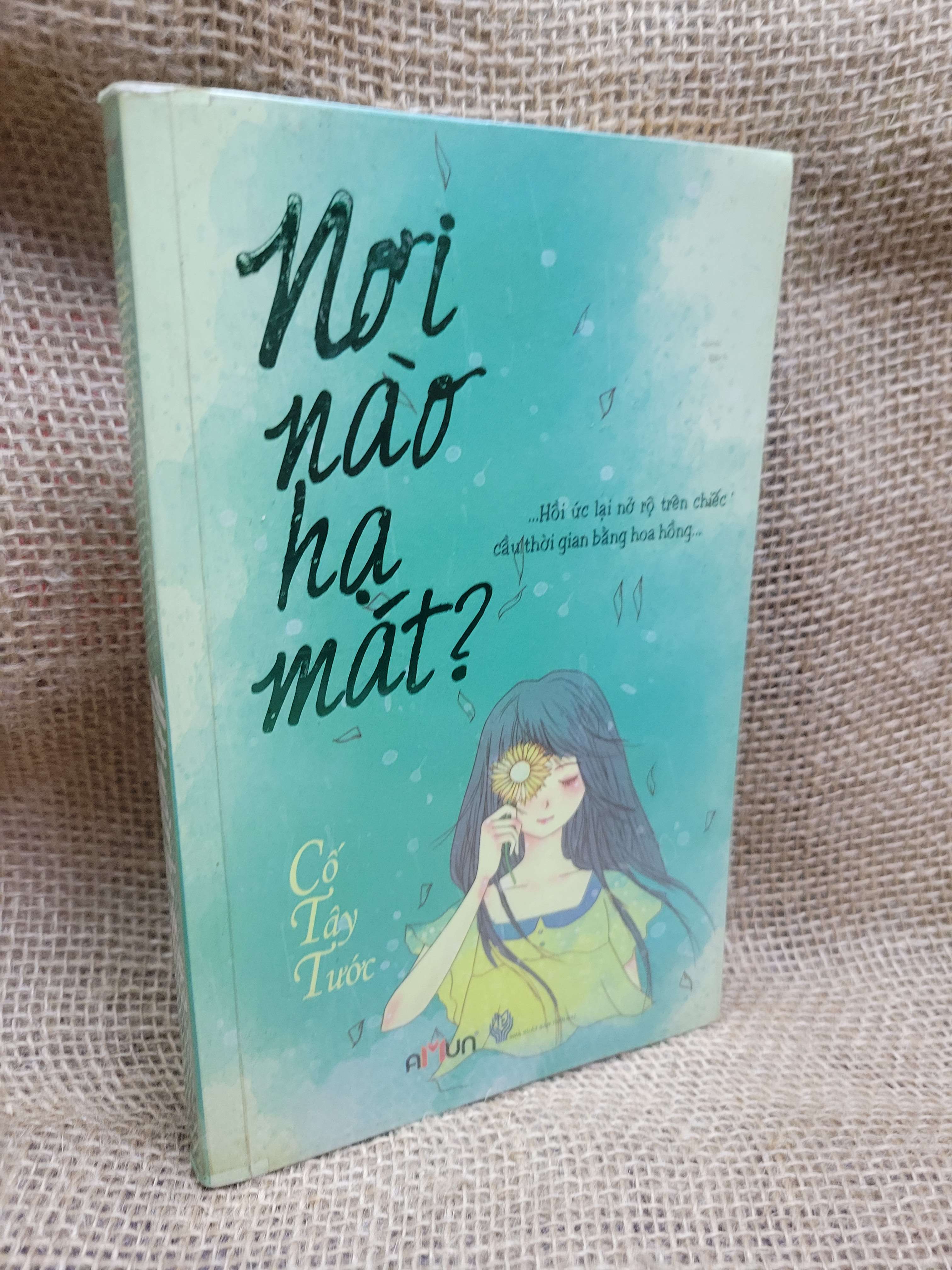 Nơi nào hạ mát? - Cố Tây Tước 2013 mới 80% ố, bẩn bìa (Sách văn học) HCM