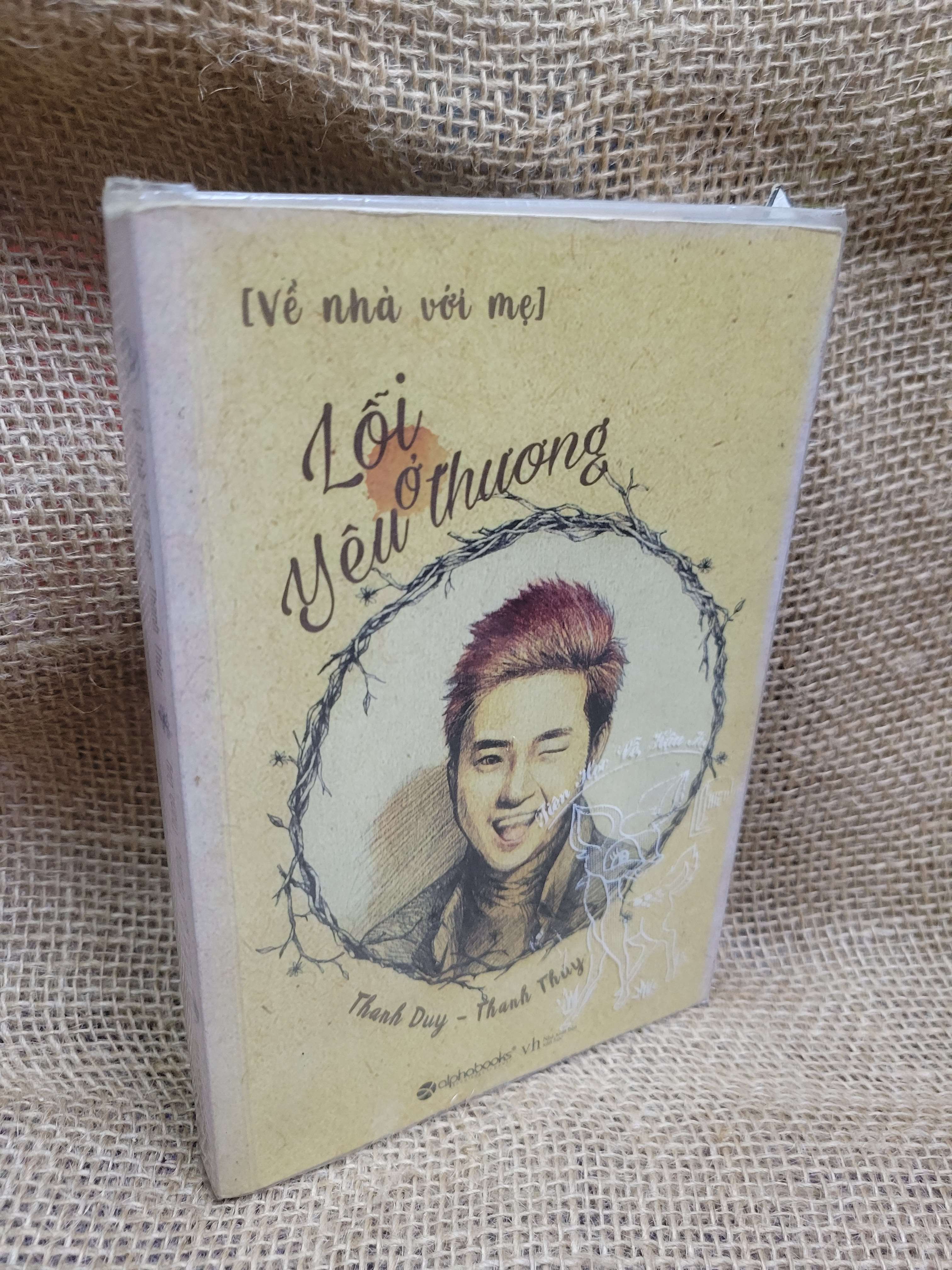 Lỗi yêu thương - Về nhà với mẹ - Thanh Duy, Thanh Thủy 2016 mới 70% bẩn bìa, ố, có chữ viết (Sách văn học) HCM