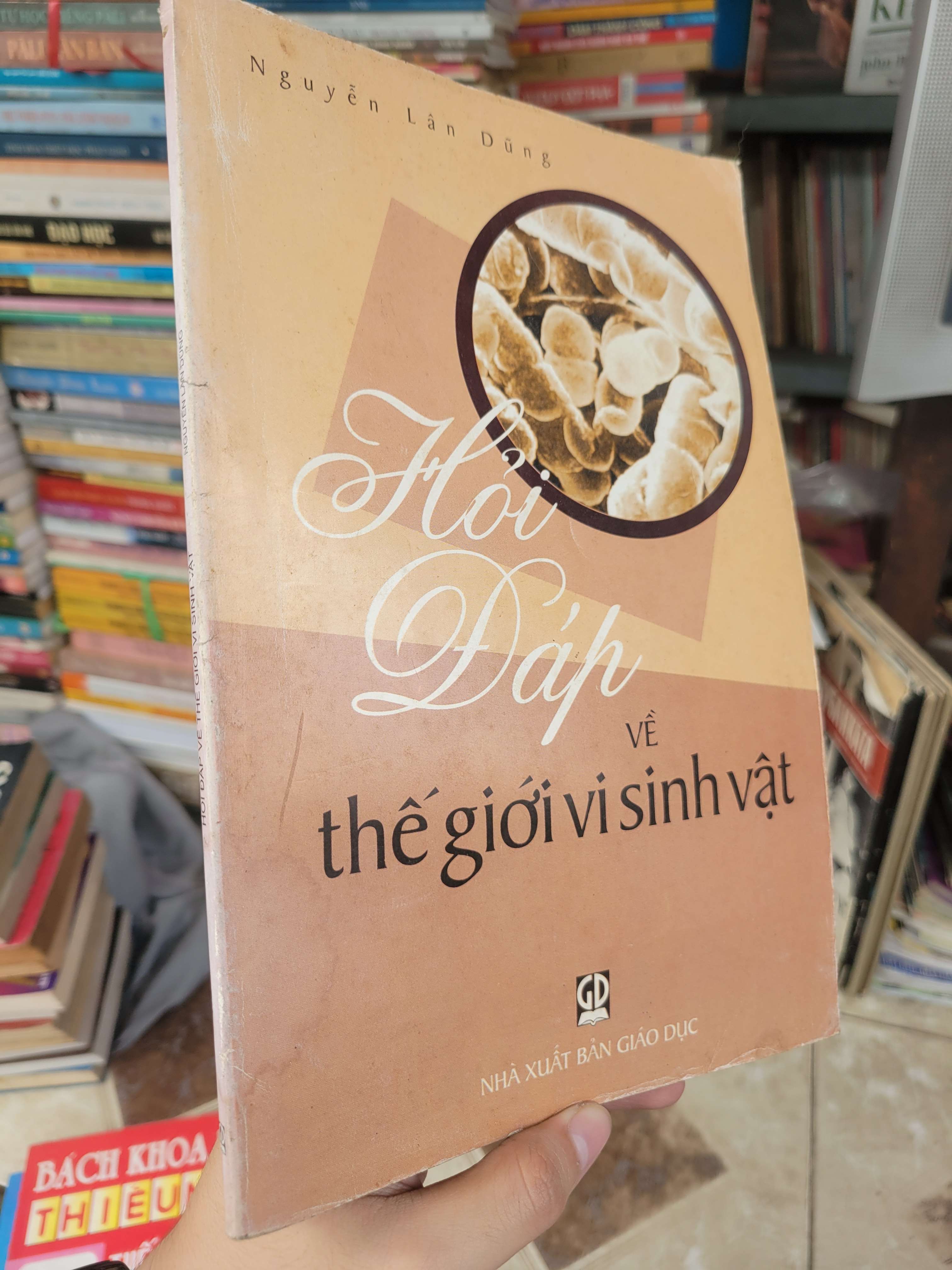 Hỏi đáp về thế giới vi sinh vật - Nguyễn Lân Dũng 2006 mới 70% ố, bẩn bìa, tróc gáy (Sách kiến thức tổng hợp) BGB